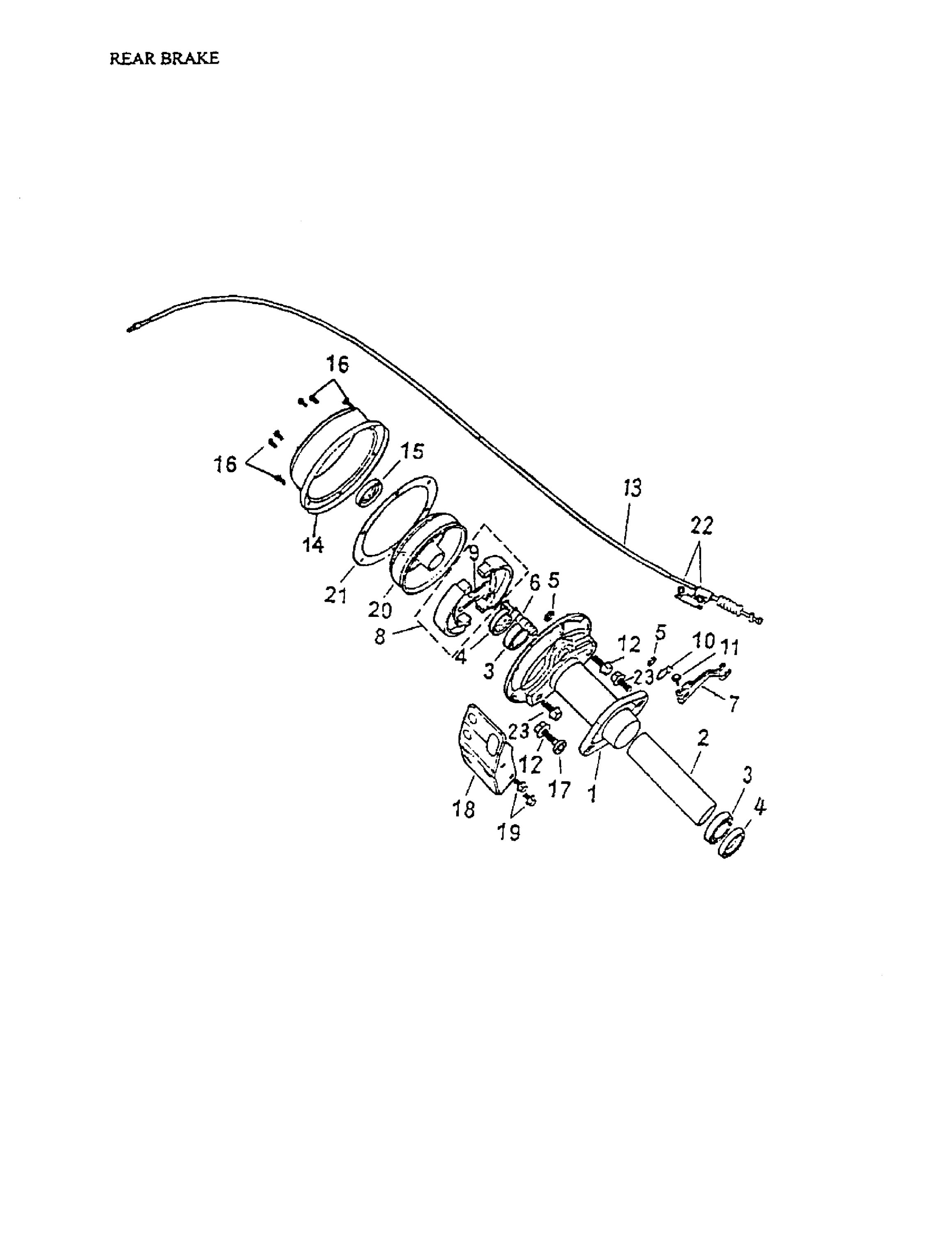 Rear Brake