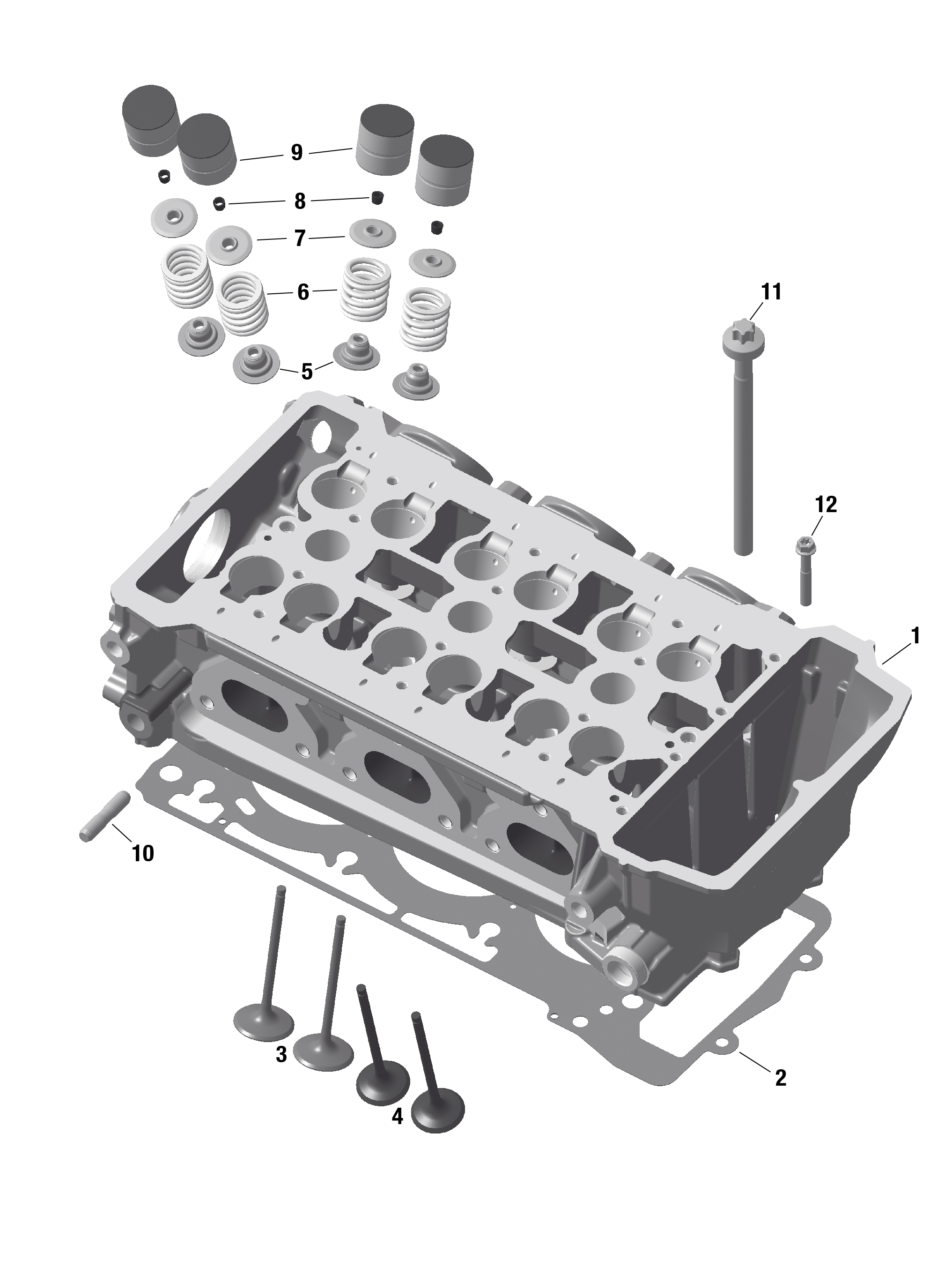 ROTAX - Cylinder Head