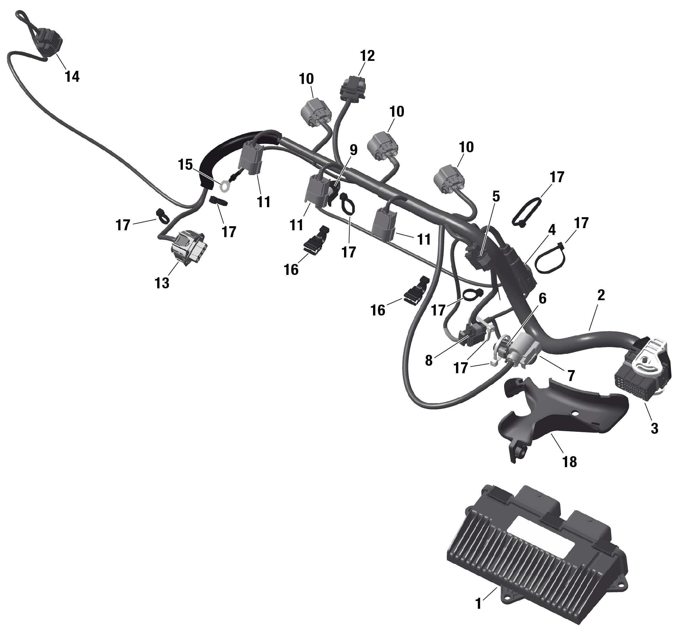 ROTAX - Engine Harness And Electronic Module