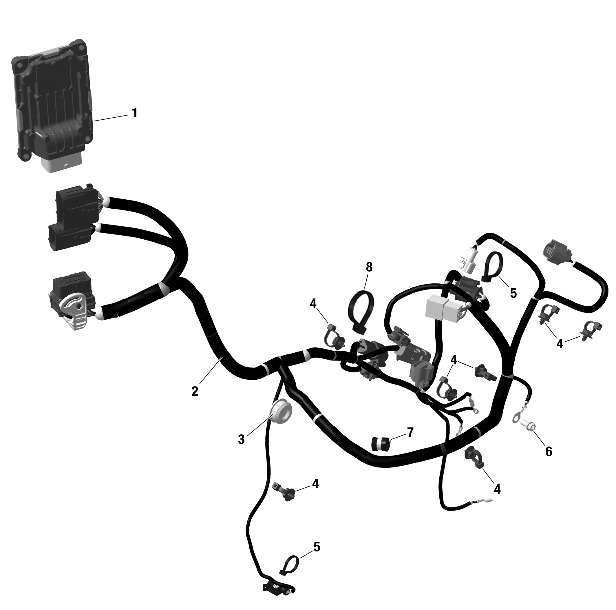 ROTAX - Engine Harness - Mechanic Throttle Control