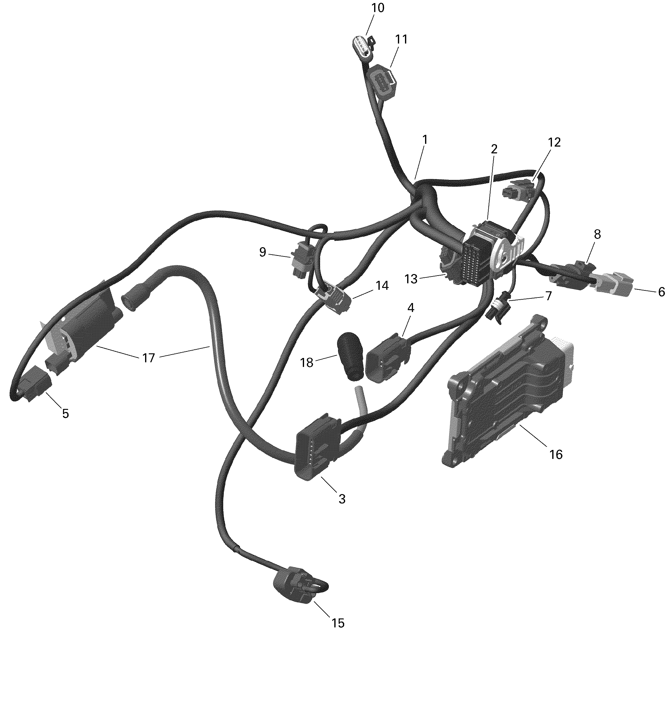 Rotax - Engine Harness And Electronic Module - 3