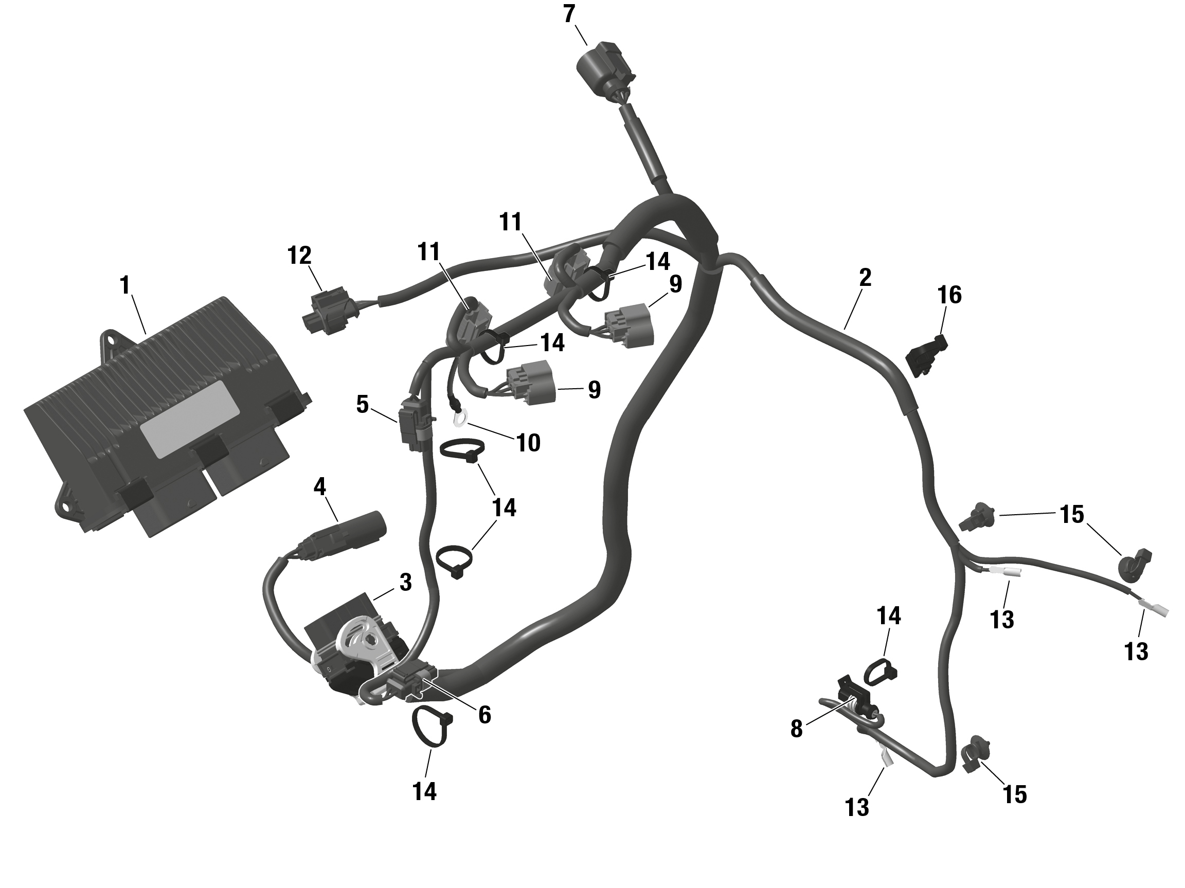 Схема узла: ROTAX - Engine Harness And Electronic Module