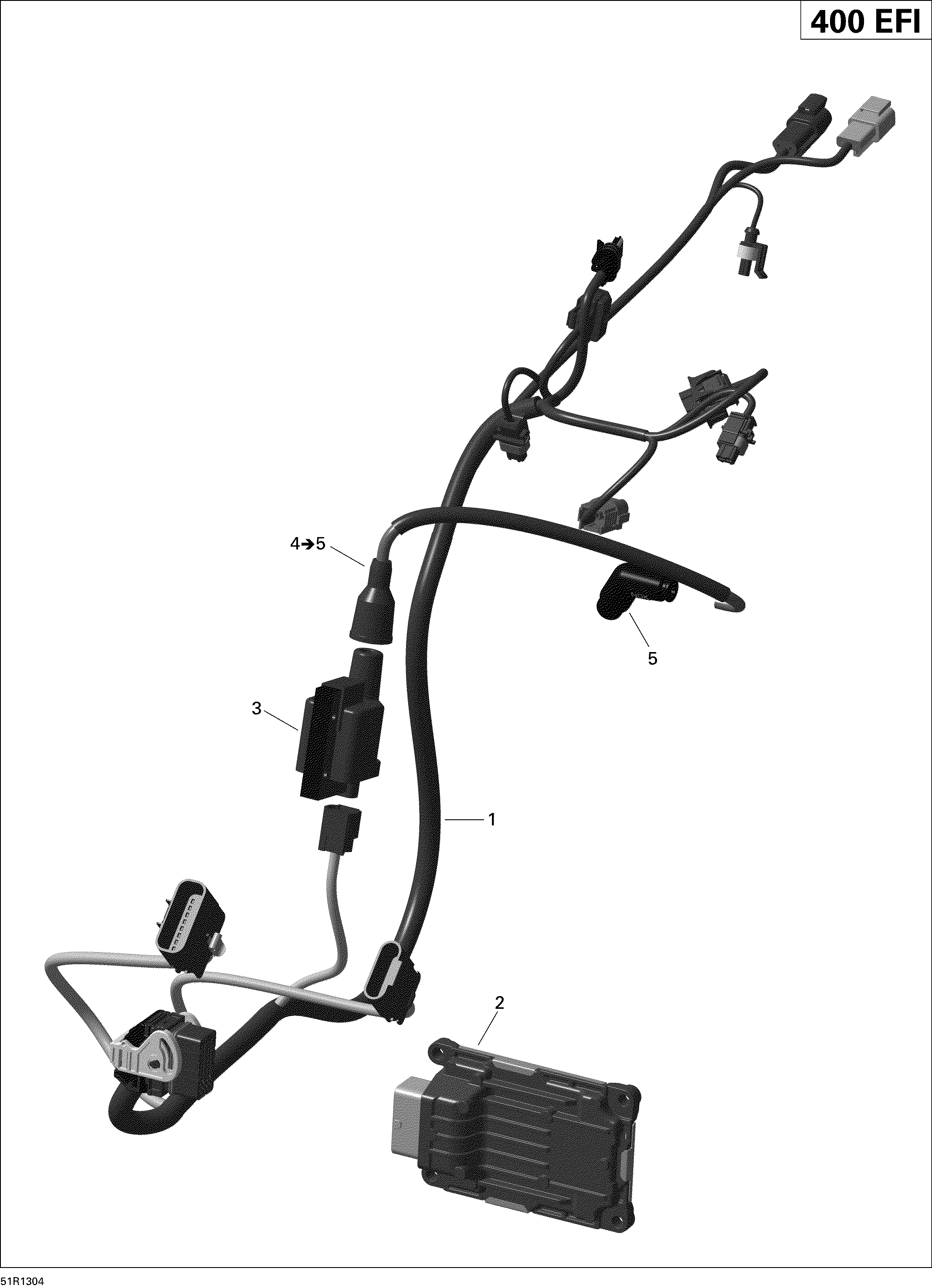 Engine Harness And Electronic Module