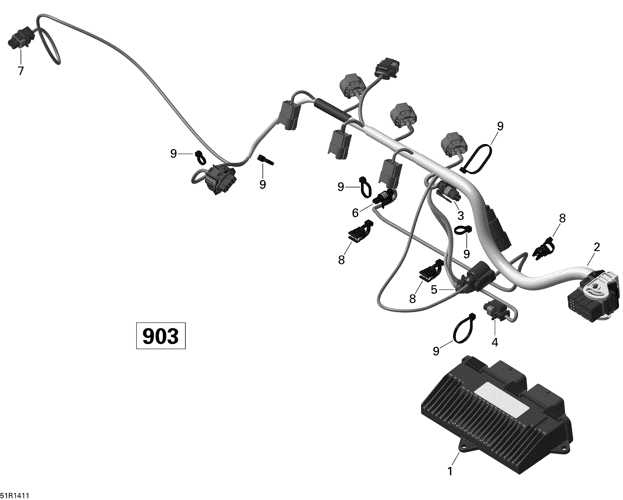 Engine Harness And Electronic Module ACE 900 HO_51R1411