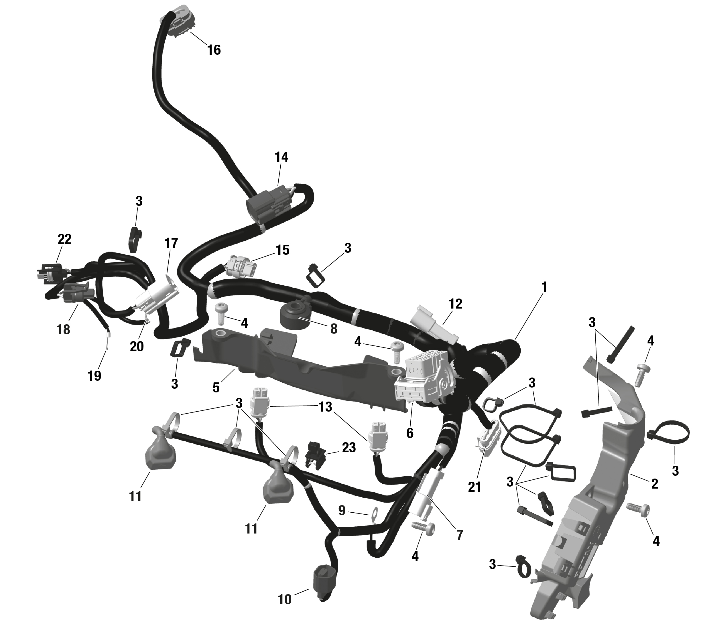 Схема узла: ROTAX - Engine Harness And Electronic Module