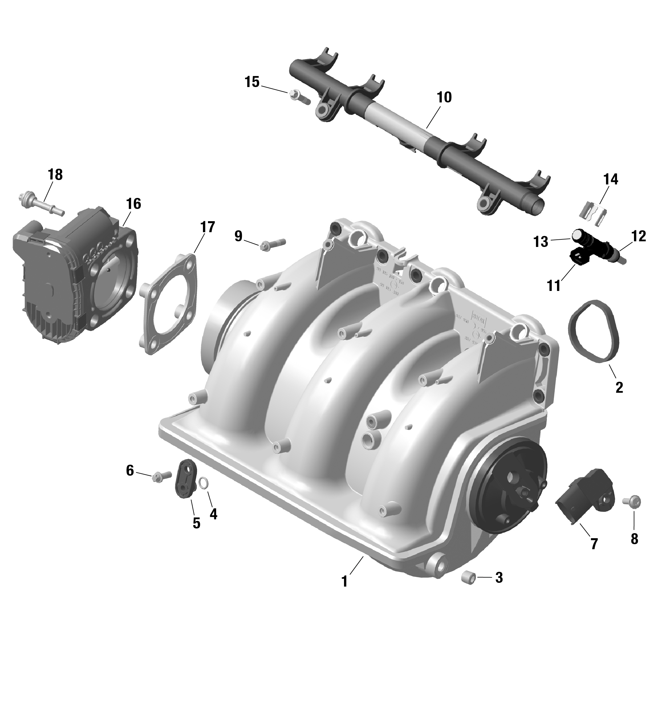 ROTAX - Air Intake Manifold And Throttle Body