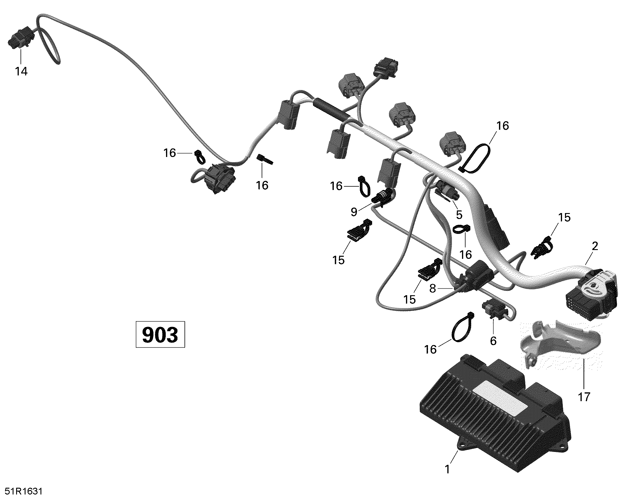 Engine Harness and Electronic Module - 900 HO ACE