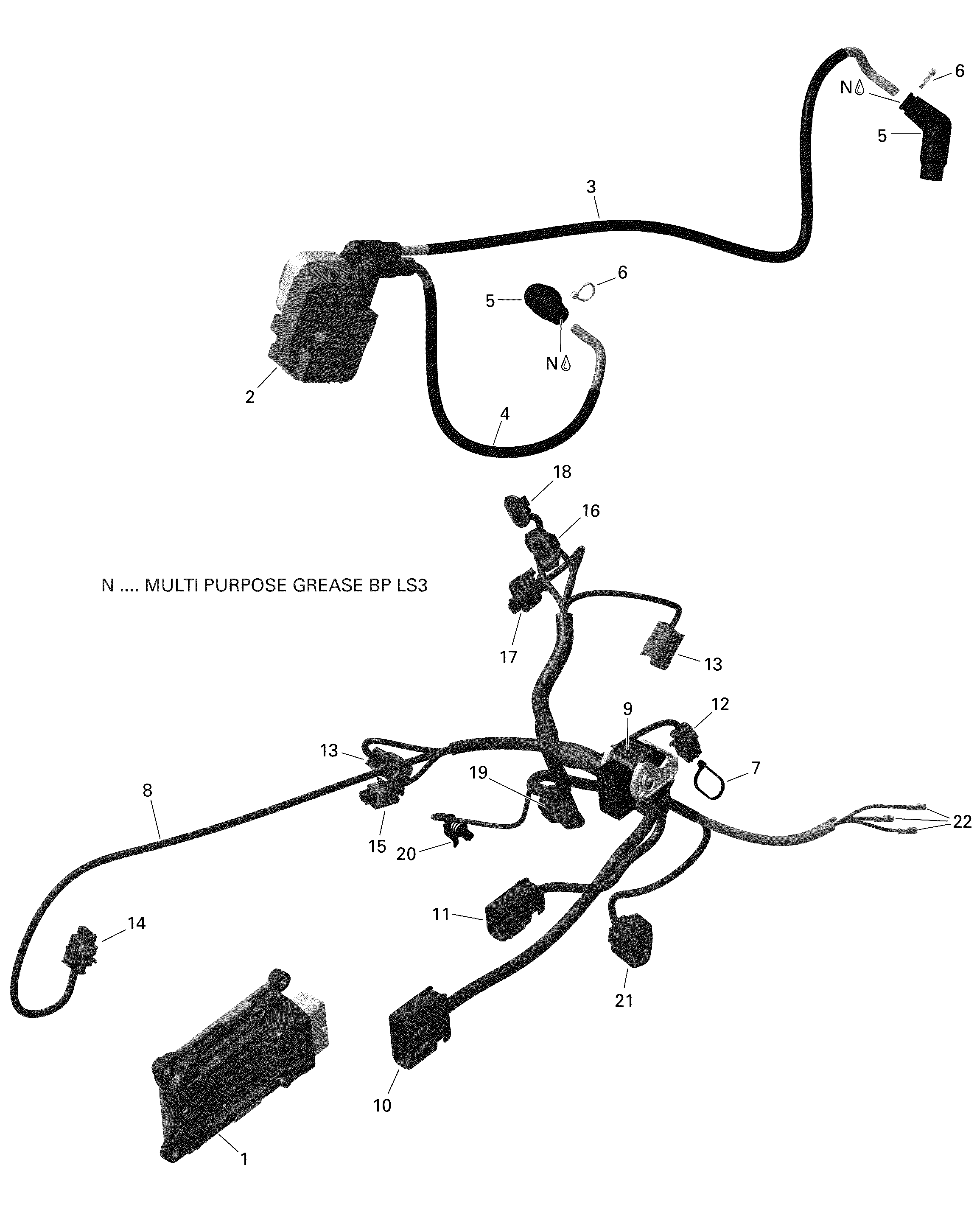 Rotax - Engine Harness And Electronic Module  - V1