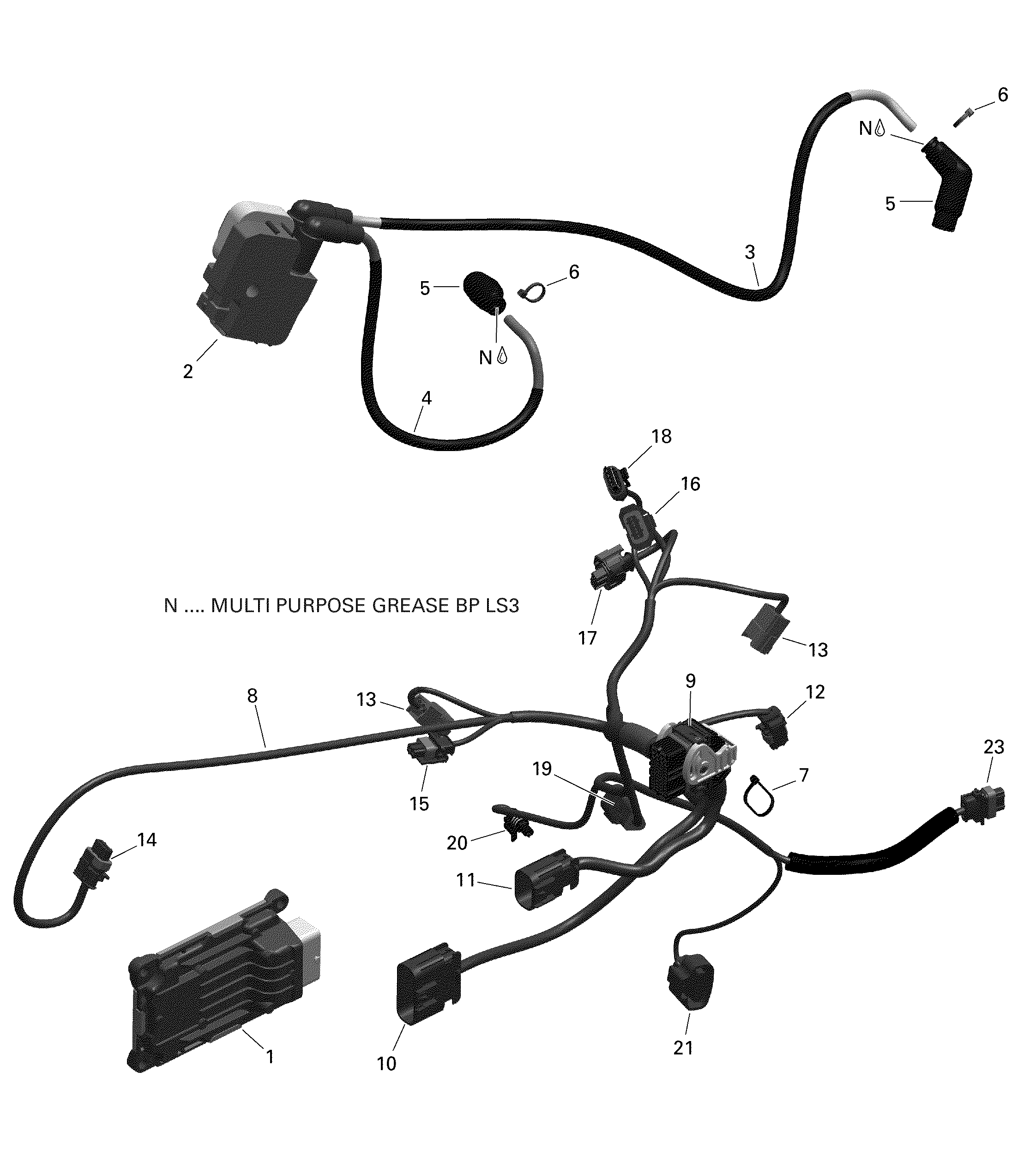 Rotax - Engine Harness And Electronic Module  - V5