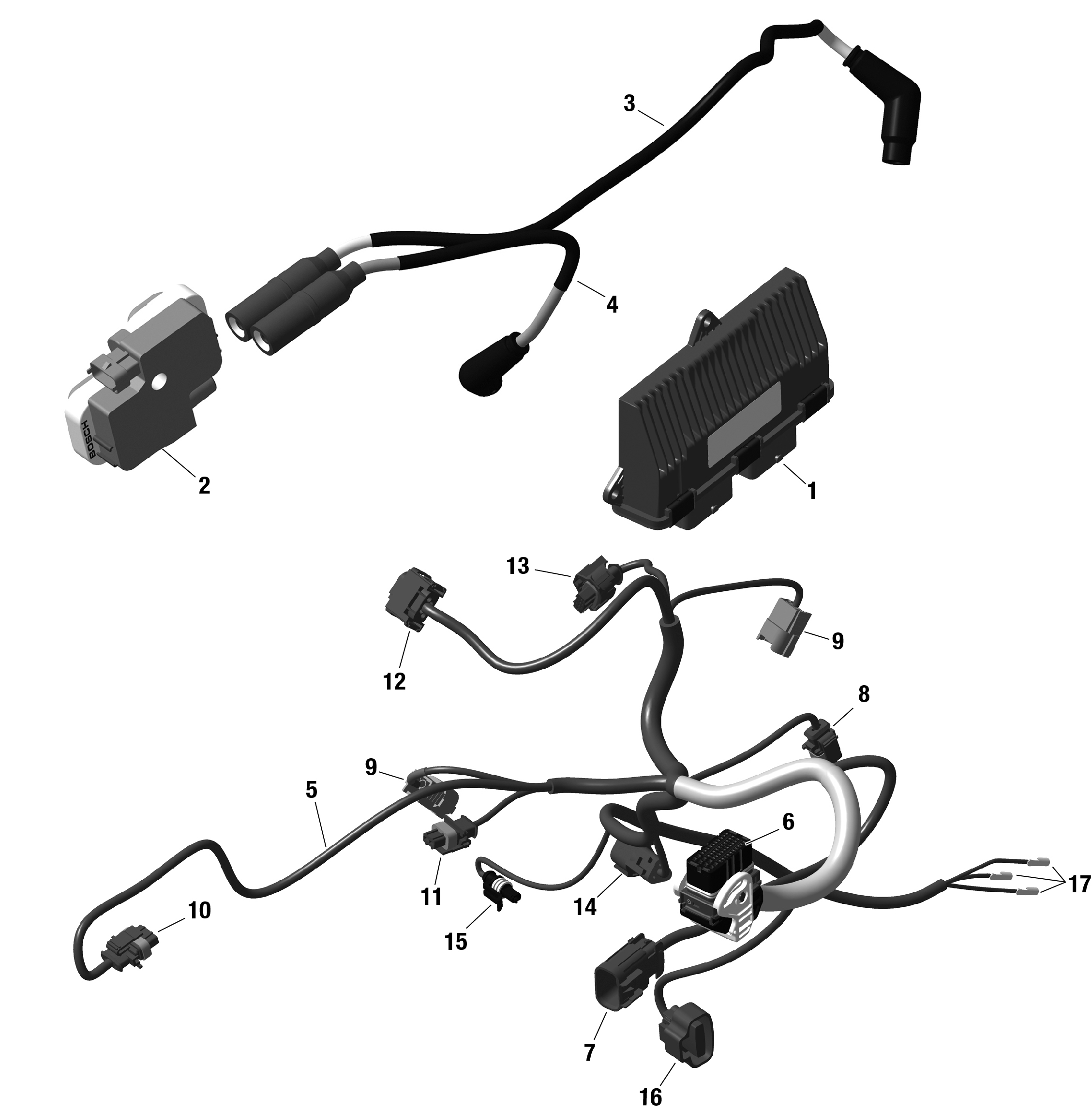 ROTAX - Engine Harness And Electronic Module