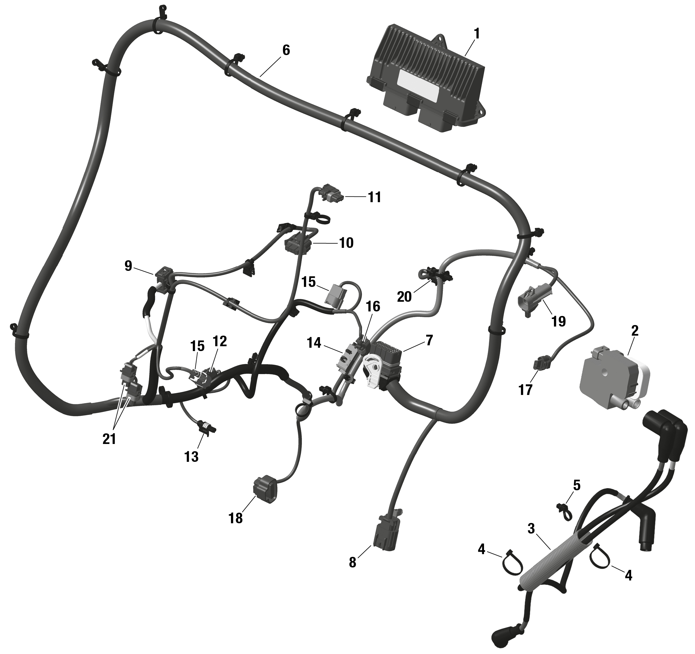 ROTAX - Engine Harness And Electronic Module