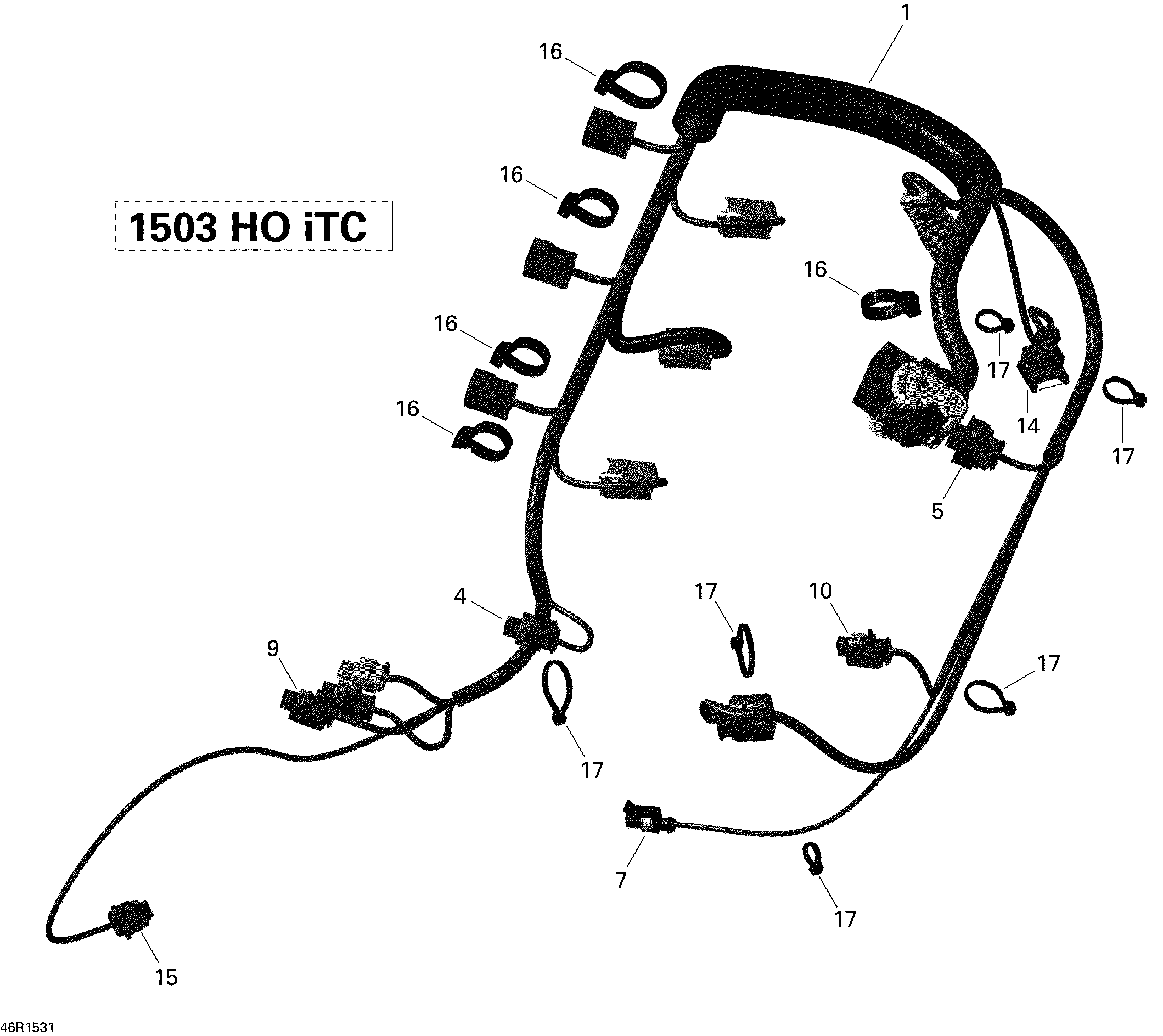 Engine Harness _46R1531