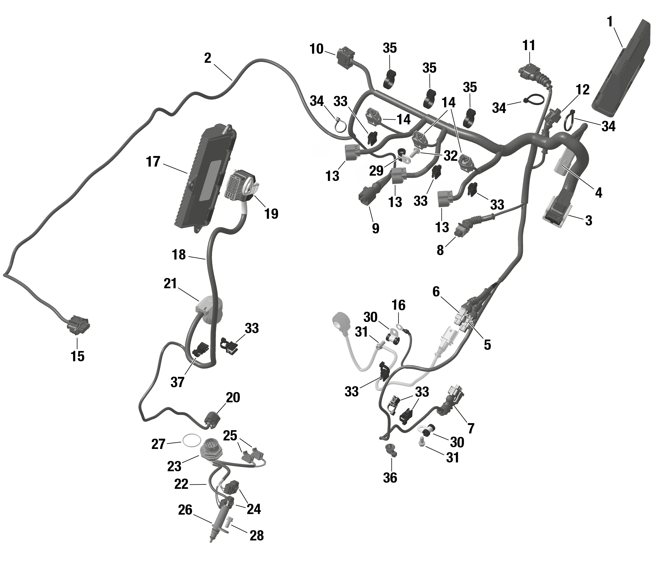 ROTAX - Engine Harness And Electronic Module