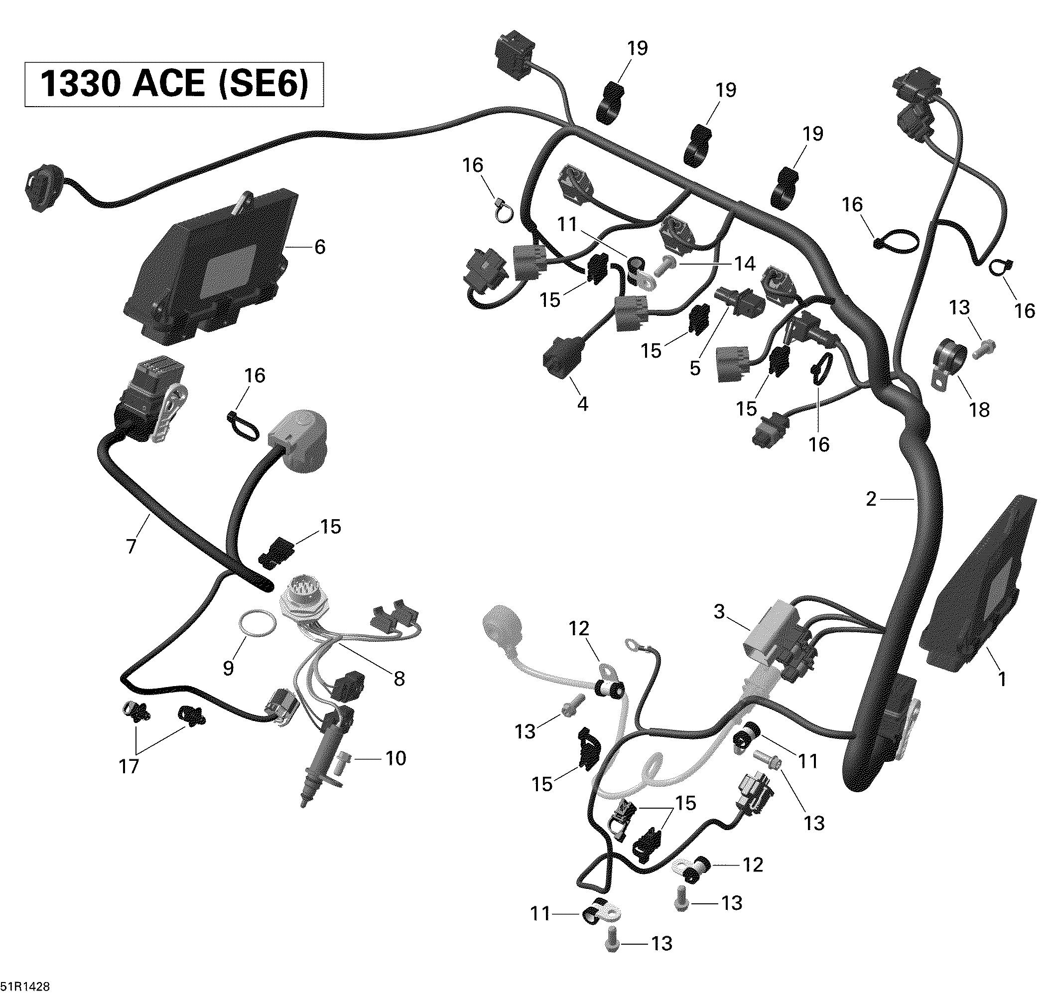 Engine Harness And Electronic Module