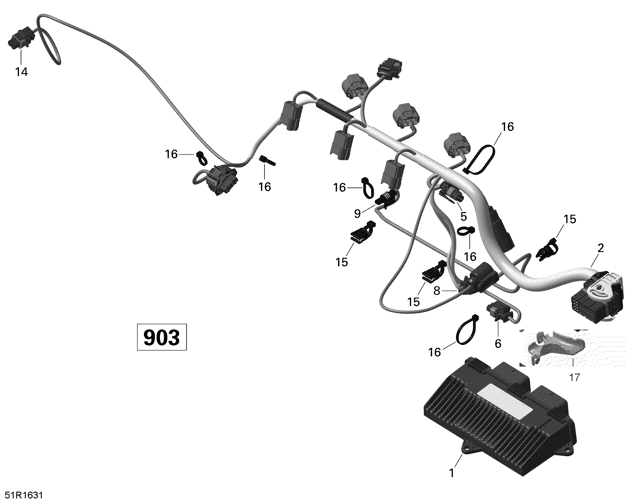 Engine Harness And Electronic Module ACE 900 HO_51R1527