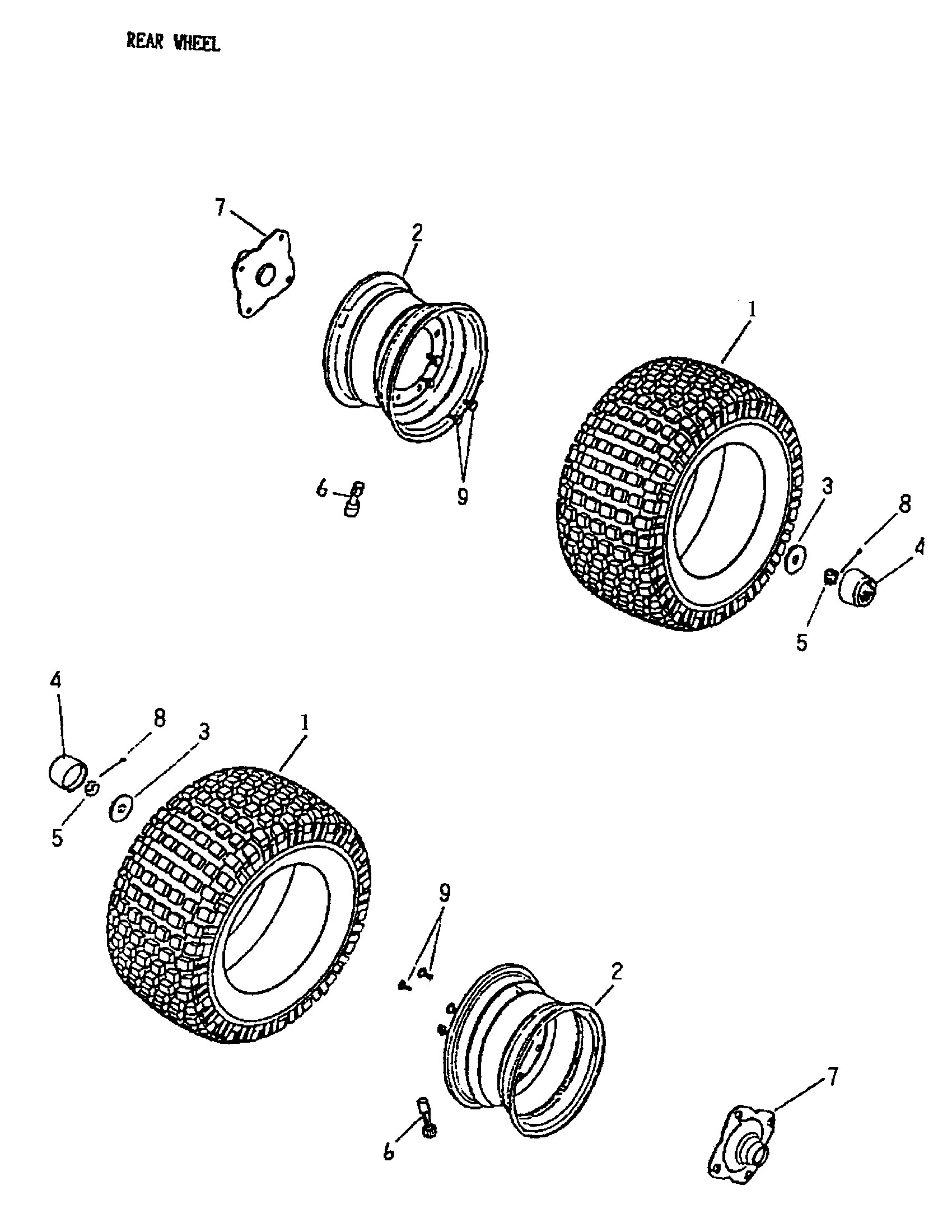 Rear Wheel