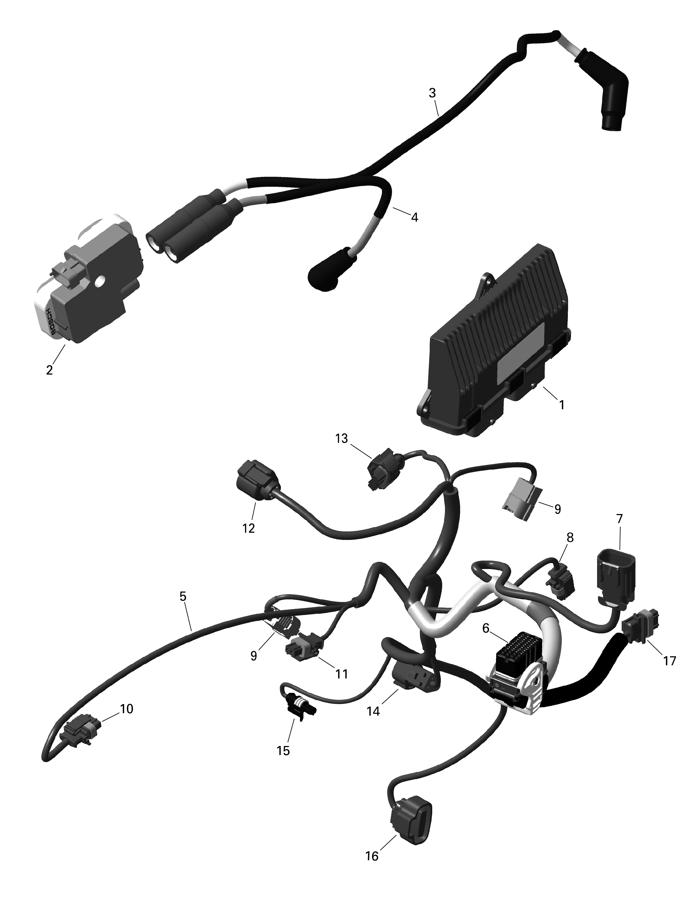 ROTAX - Engine Harness And Electronic Module