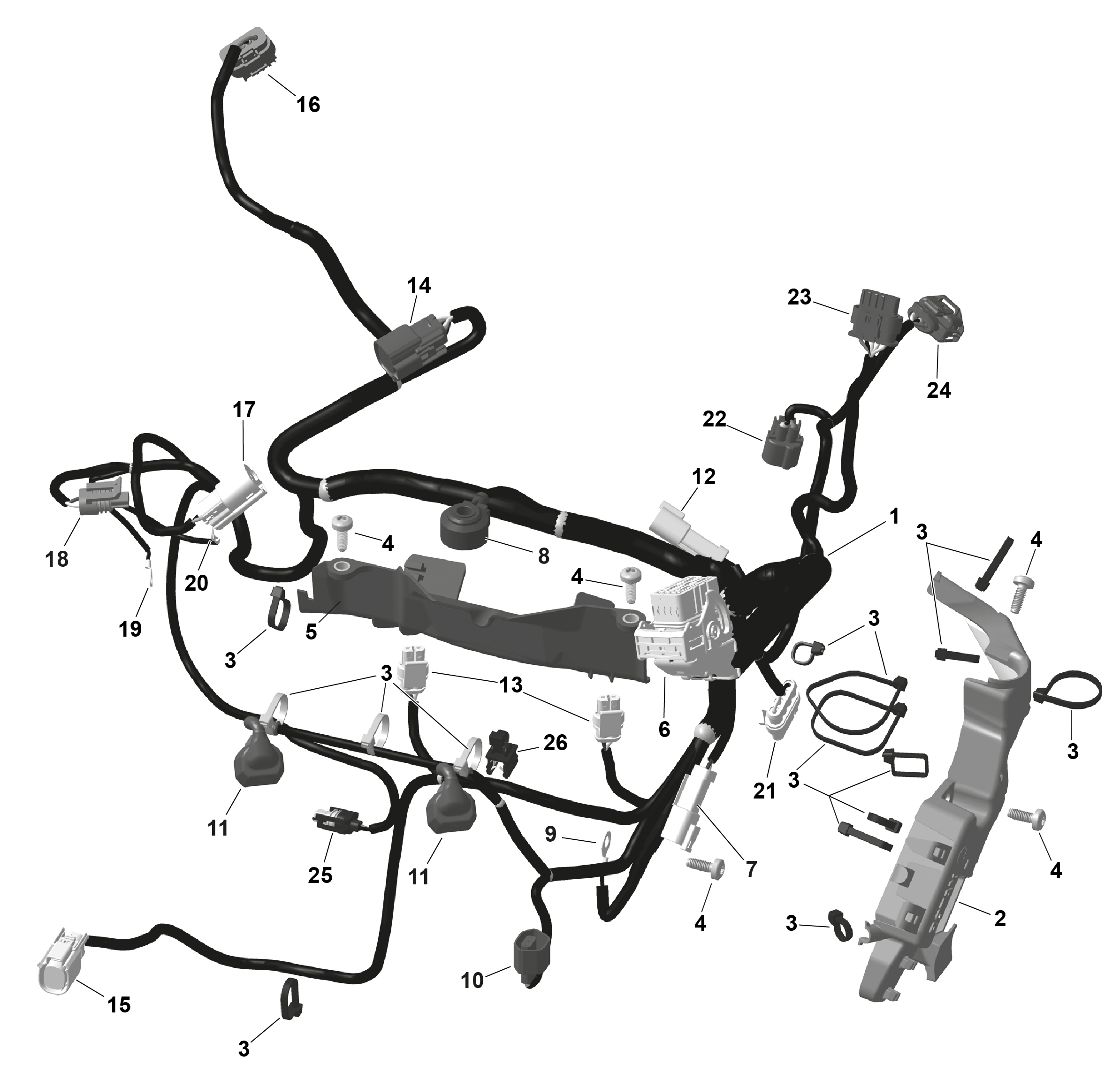 ROTAX - Engine Harness And Electronic Module