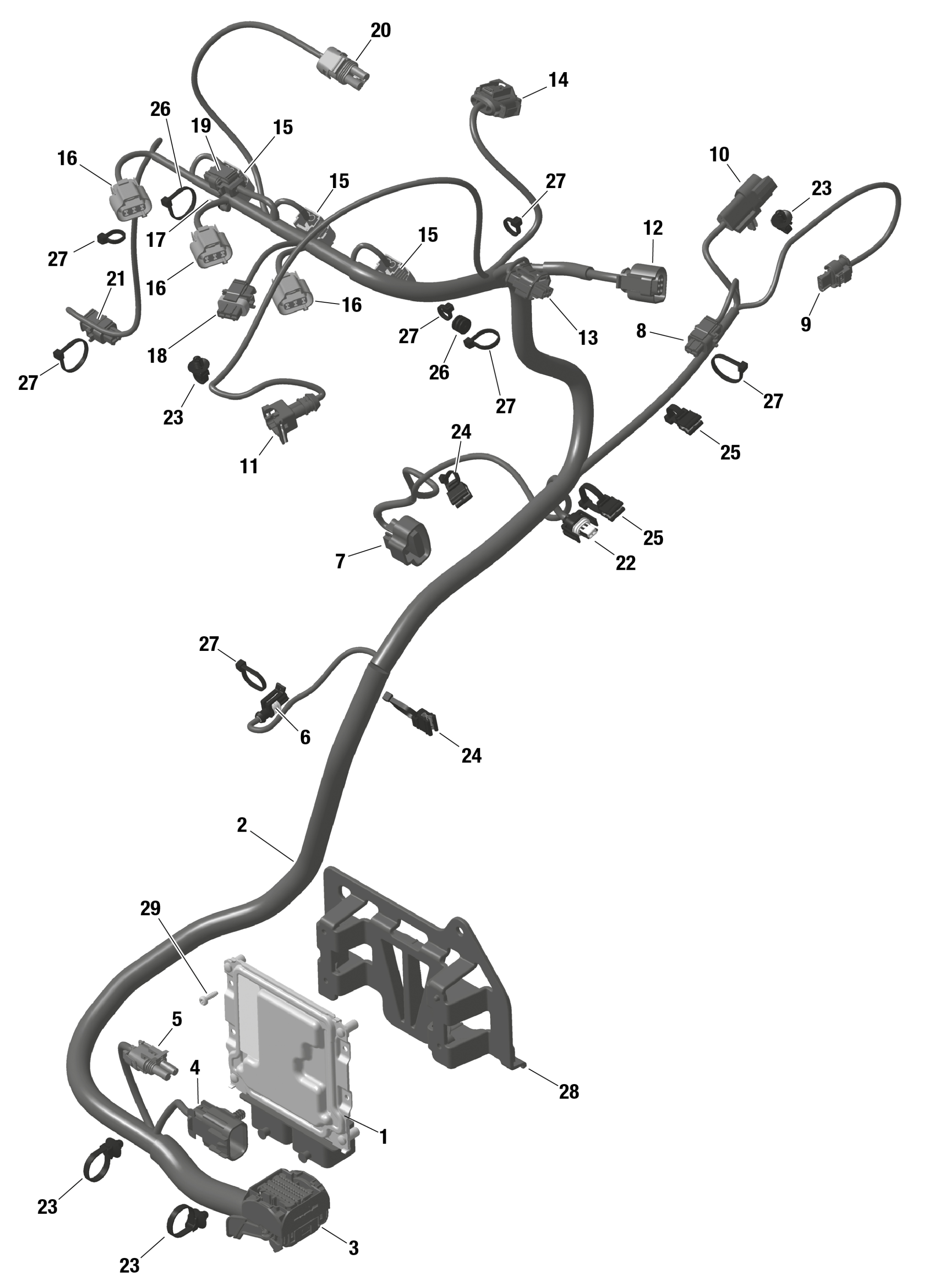 ROTAX - Engine Harness And Electronic Module