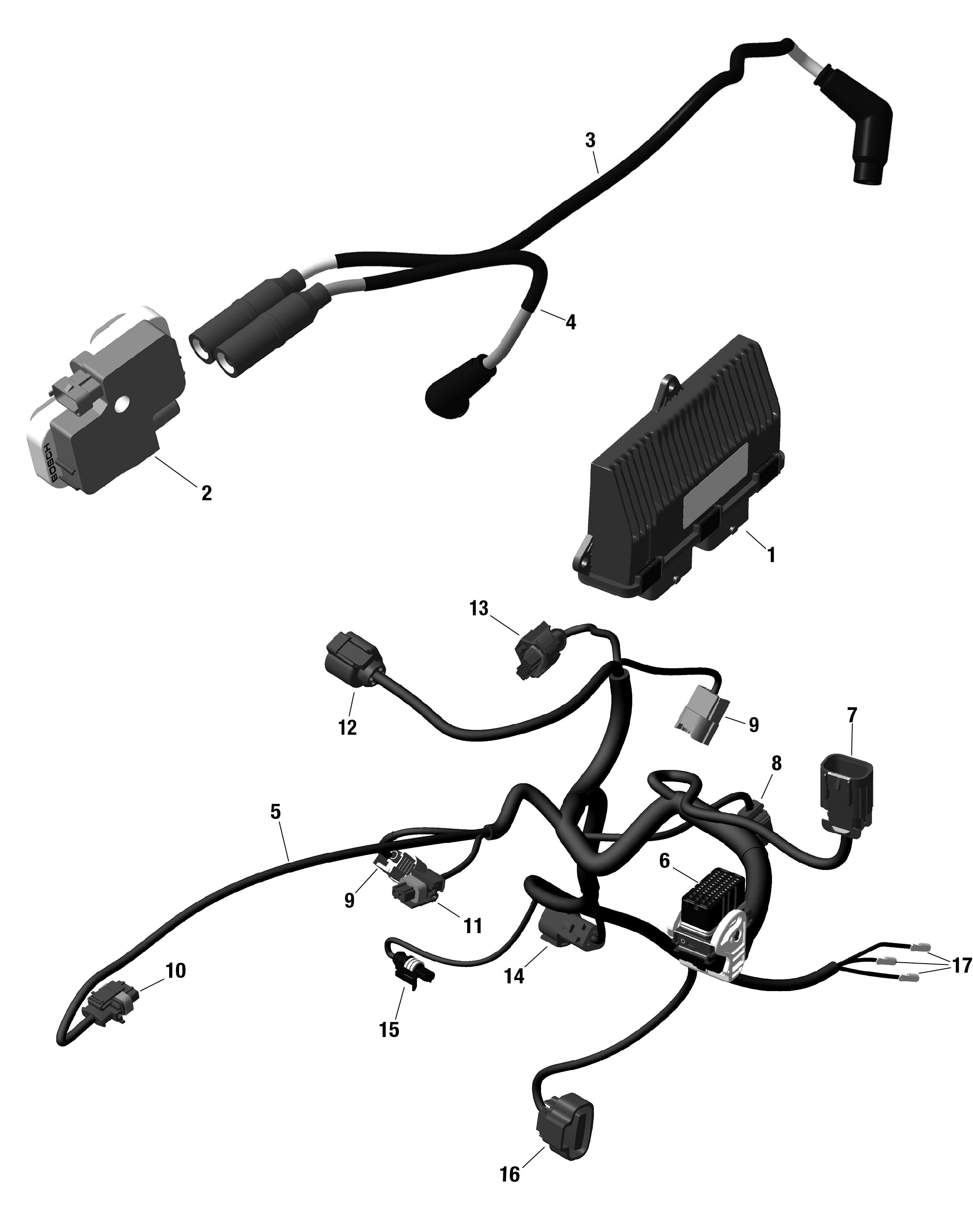 ROTAX - Engine Harness And Electronic Module