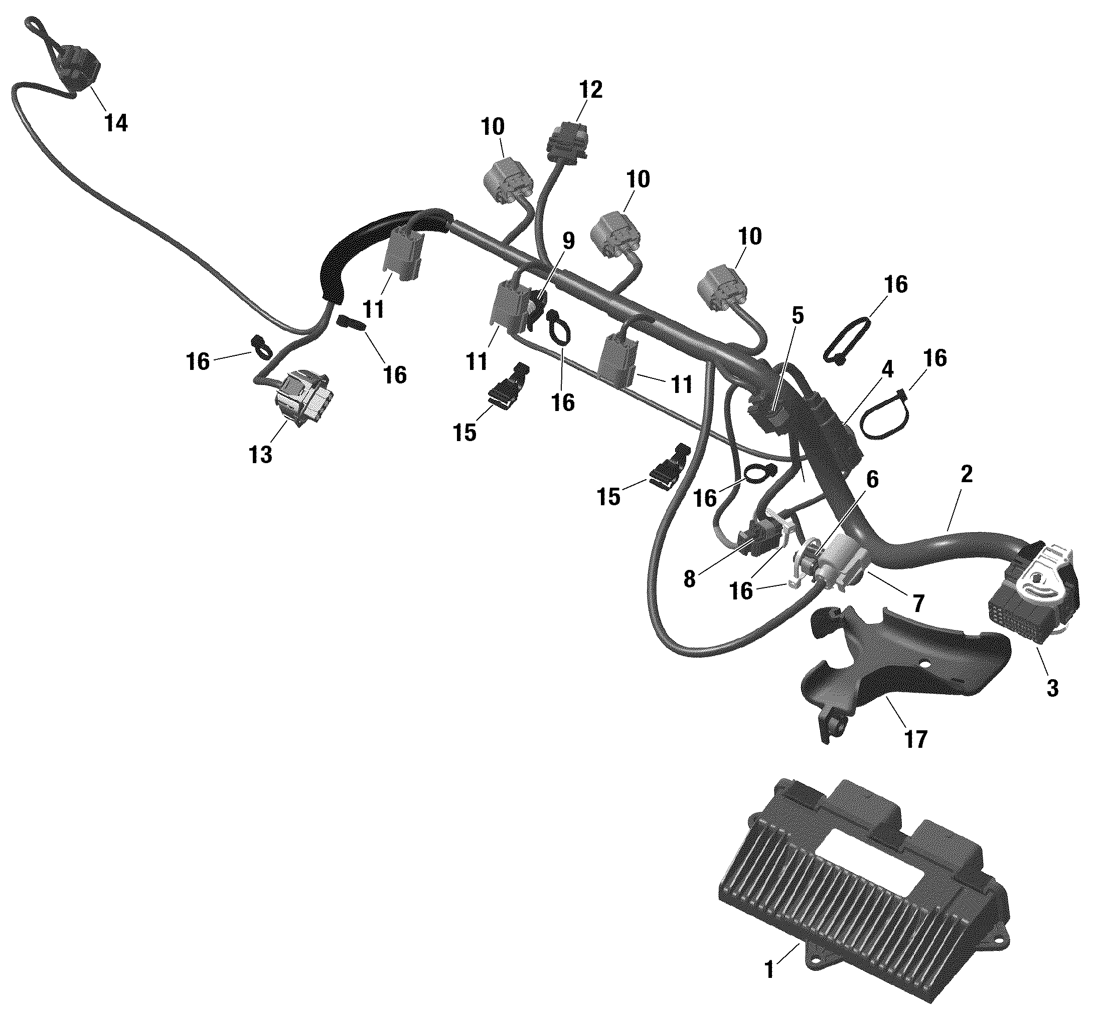 Rotax - Engine Harness And Electronic Module - 60 HP / Built from Nov 6