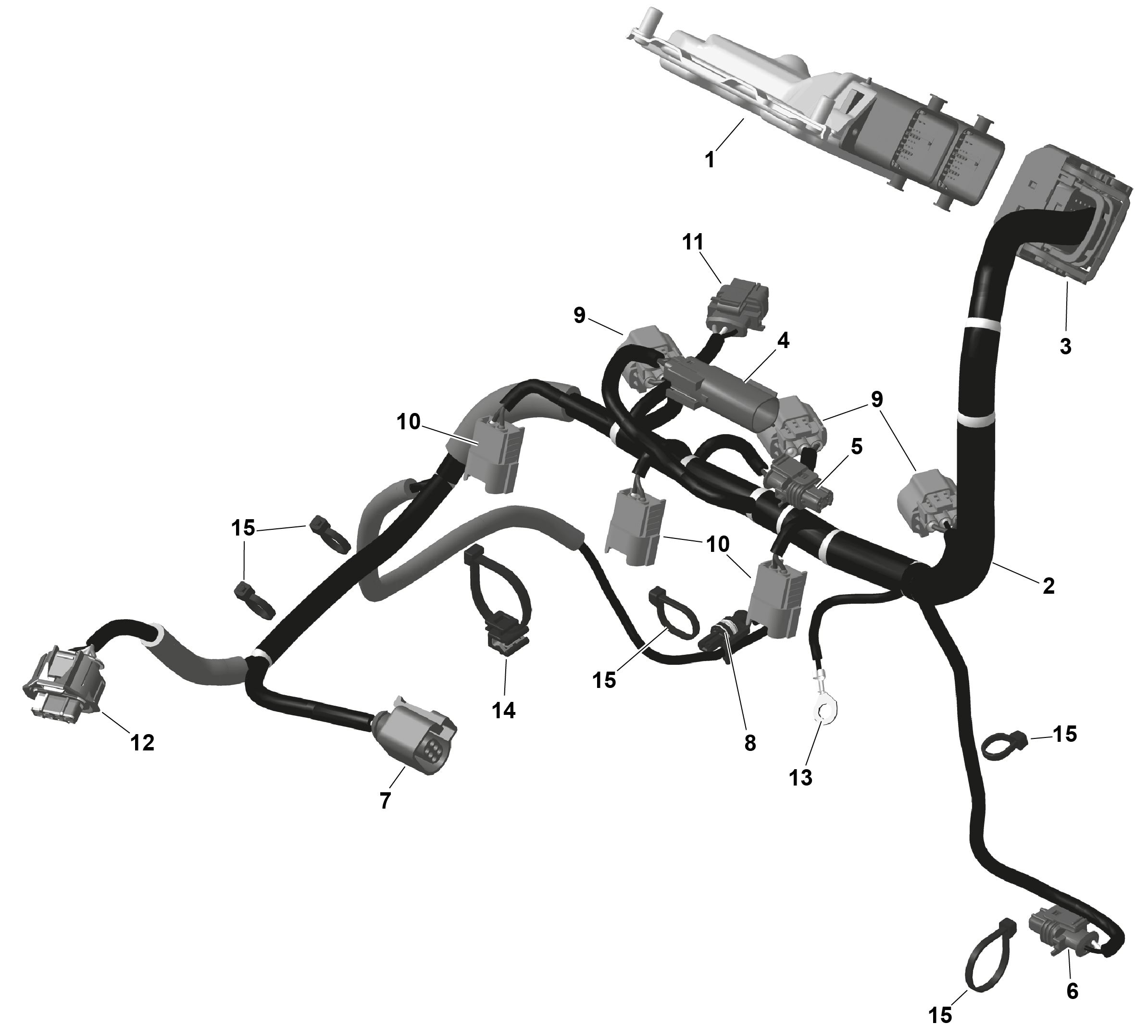 ROTAX - Engine Harness And Electronic Module