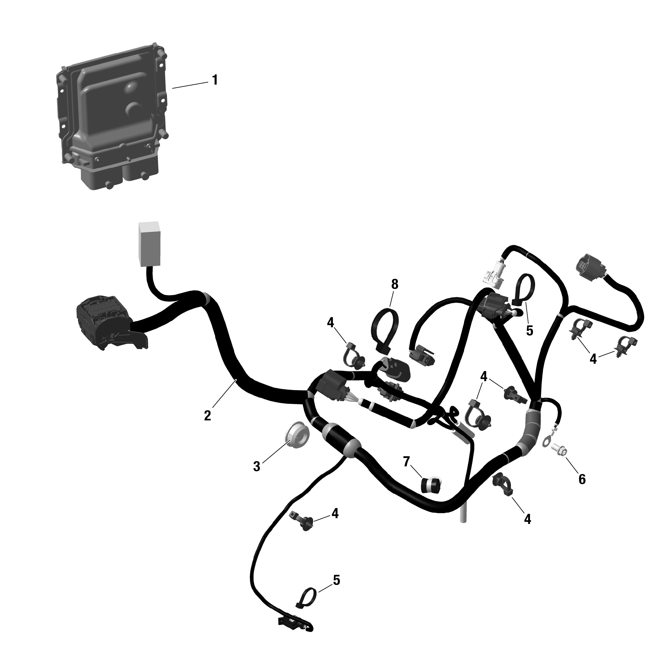 ROTAX - Engine Harness - Electronic Throttle Control