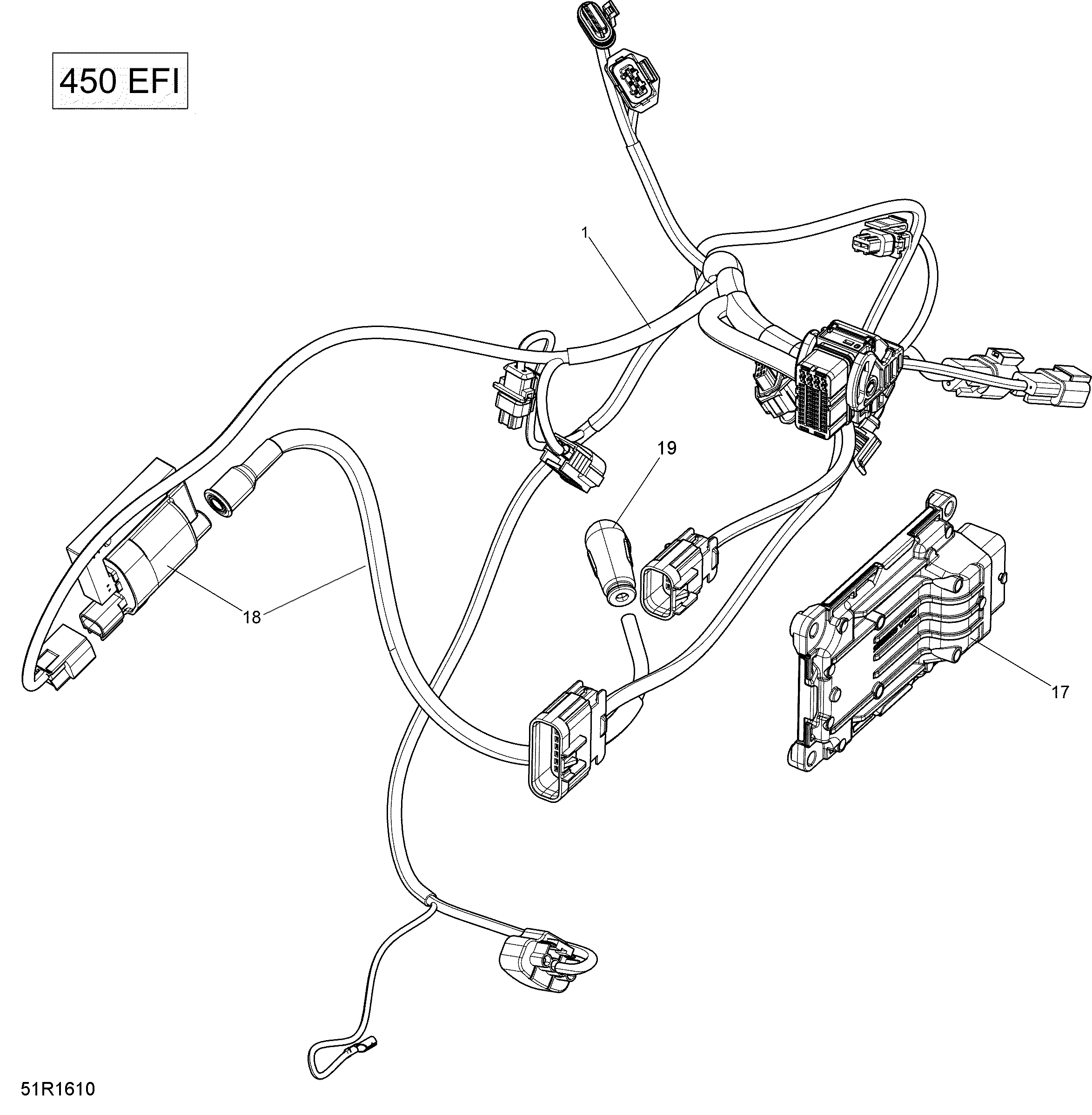 Engine Harness and Electronic Module - 450 EFI