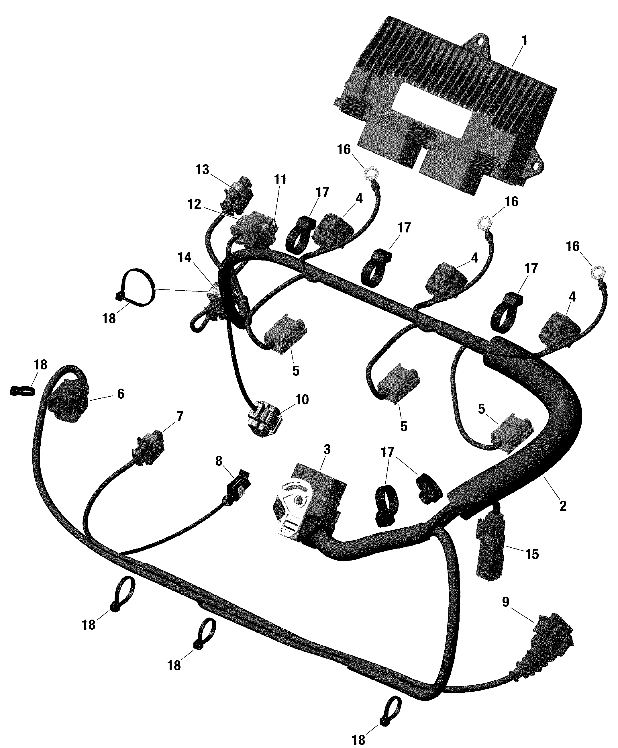 Engine Harness And Electronic Module