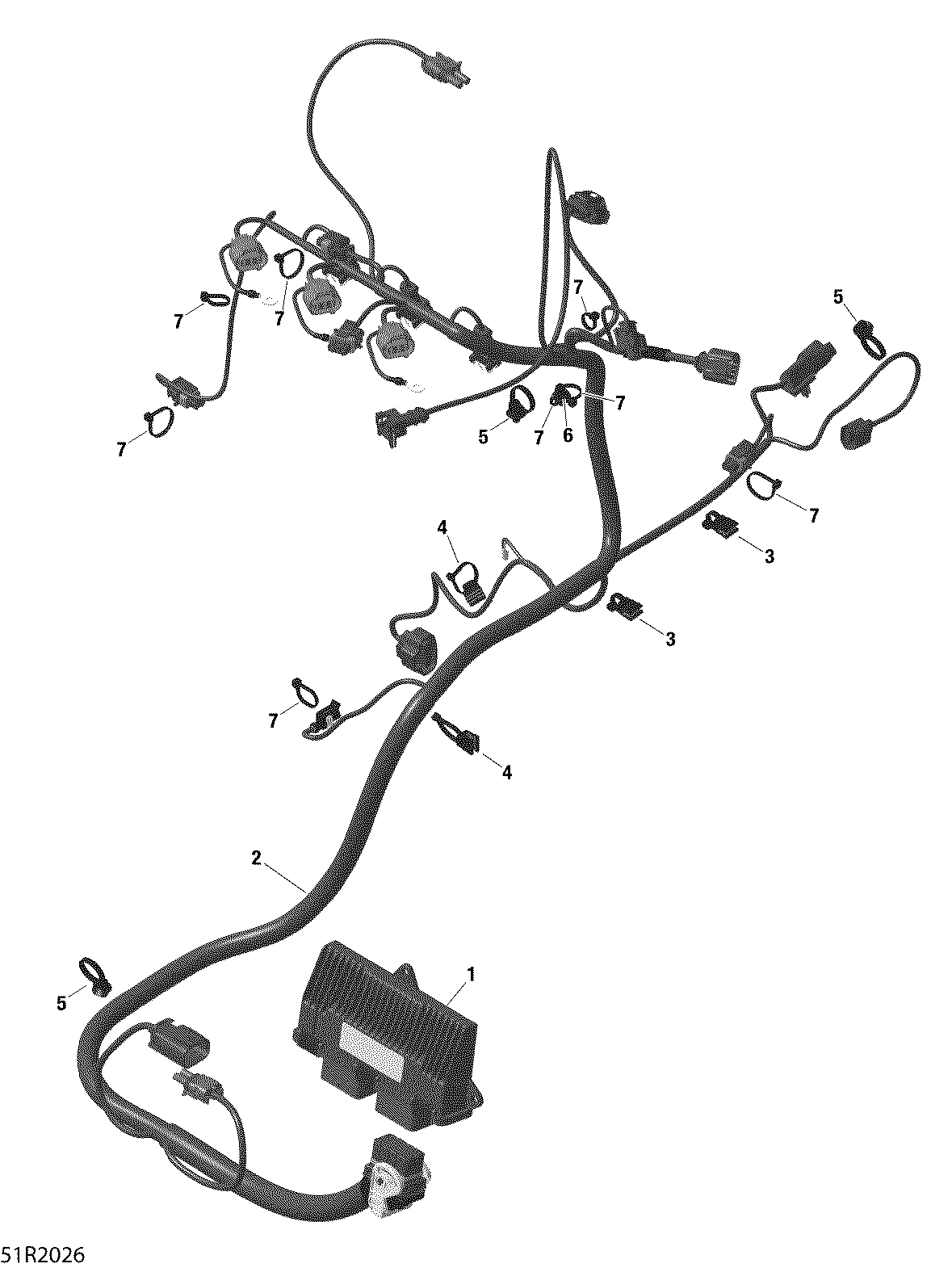 Engine Harness And Electronic Module