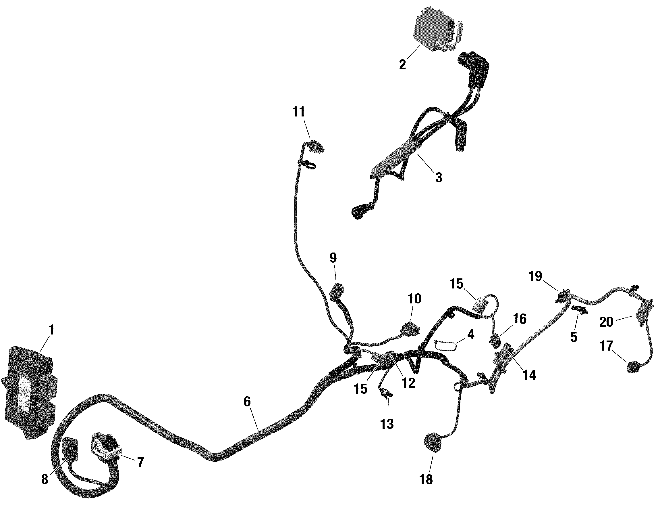 Rotax - Engine Harness And Electronic Module Defender