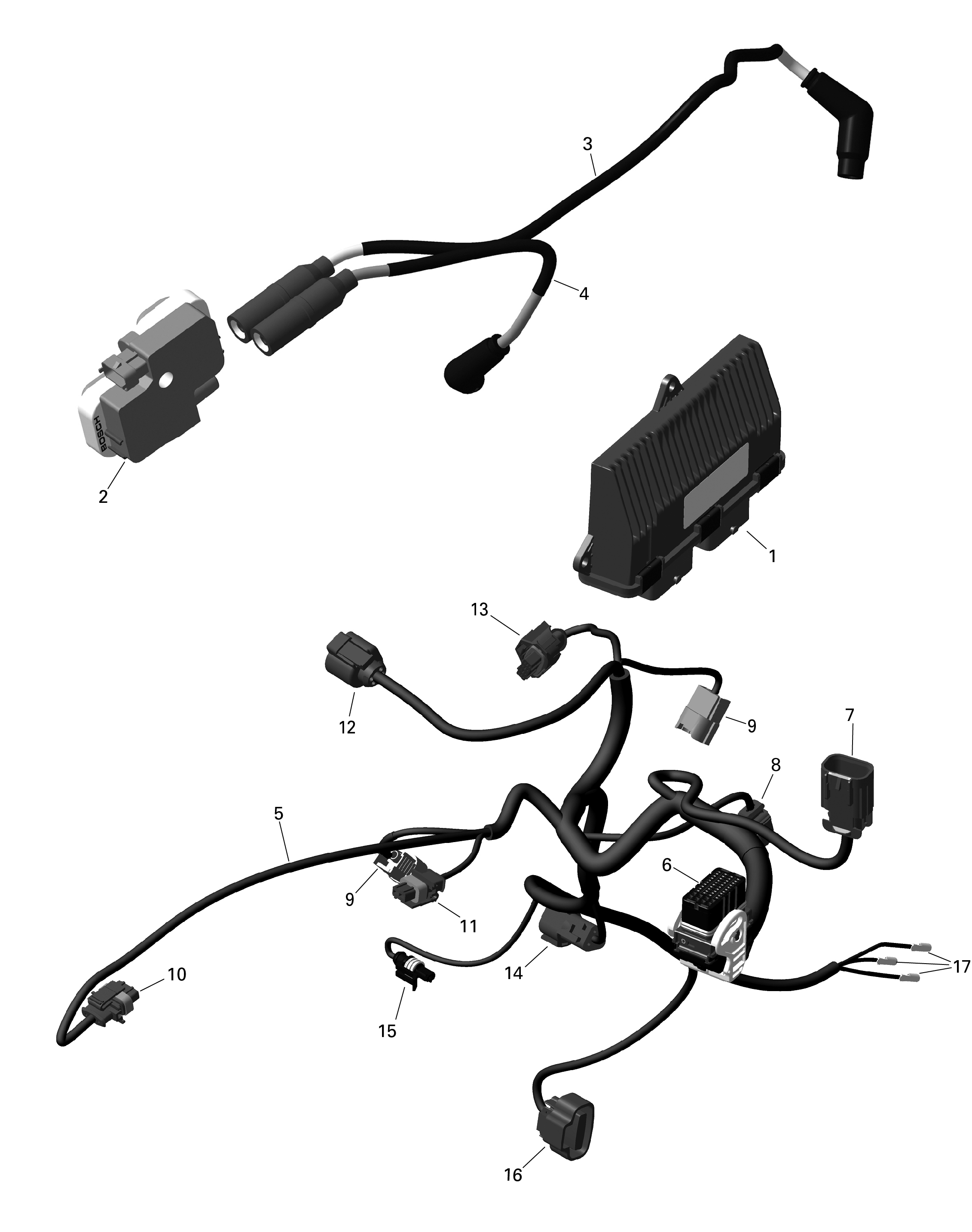 ROTAX - Engine Harness And Electronic Module