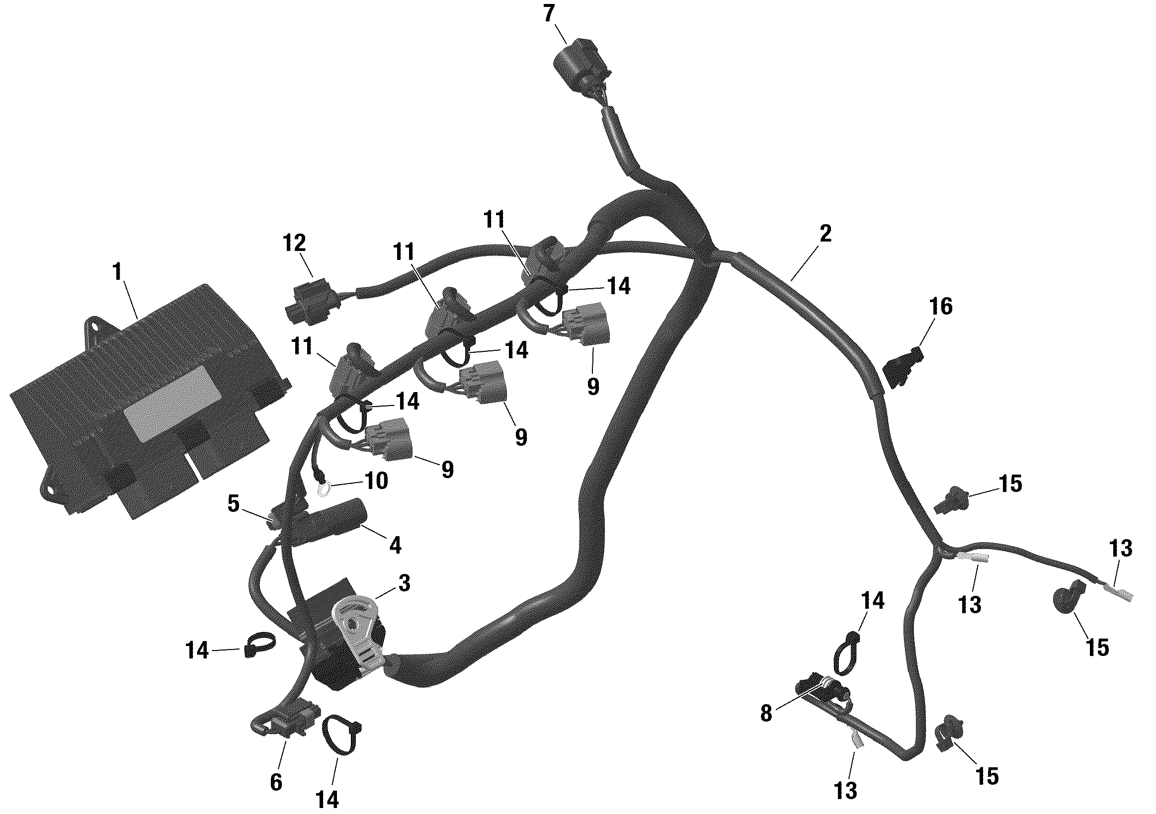 Схема узла: ROTAX - Engine Harness And Electronic Module