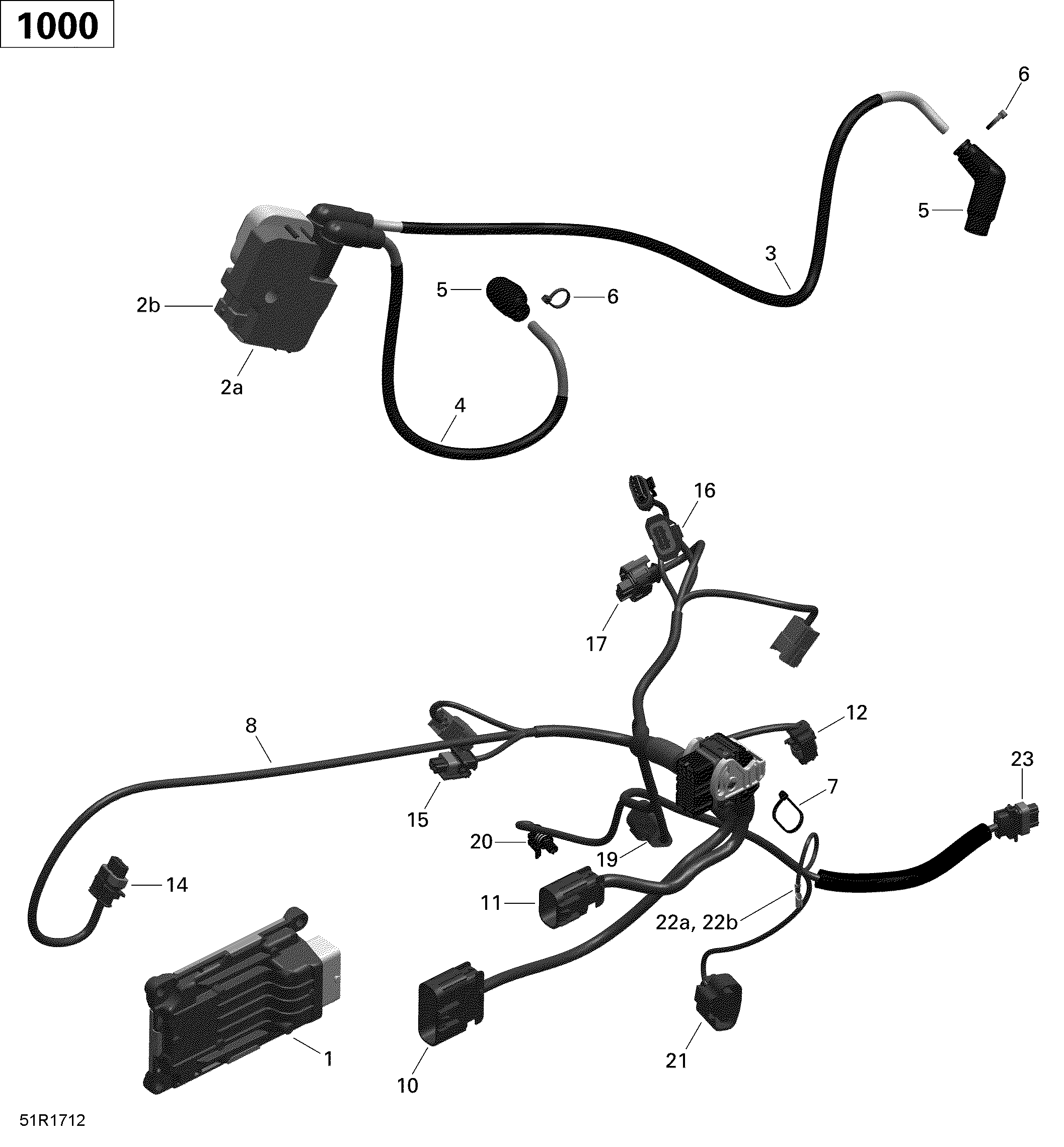 Engine Harness and Electronic Module - 1000 EFI (Package PRO-MAX PRO)