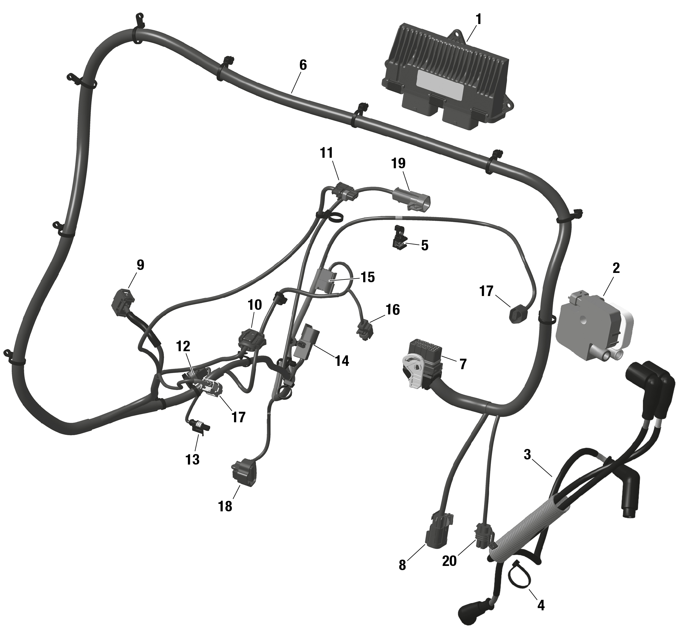 Схема узла: ROTAX - Engine Harness And Electronic Module