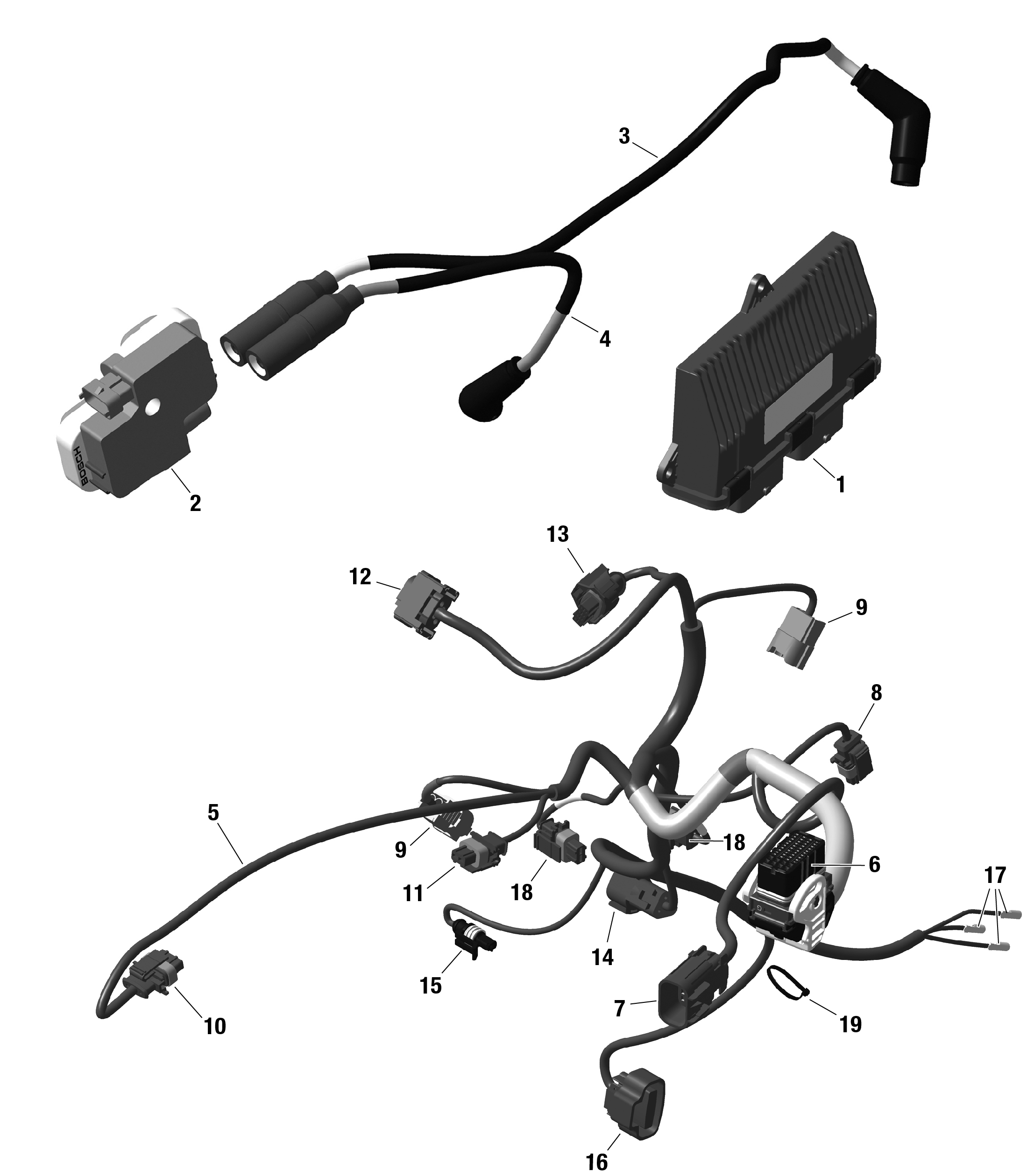 Rotax - Engine Harness And Electronic Module - 322