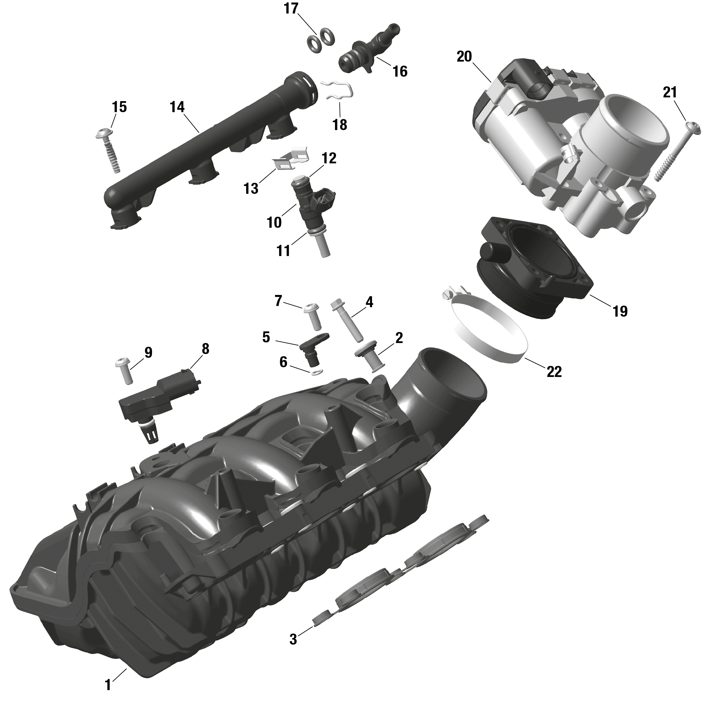 ROTAX - Air Intake Manifold And Throttle Body