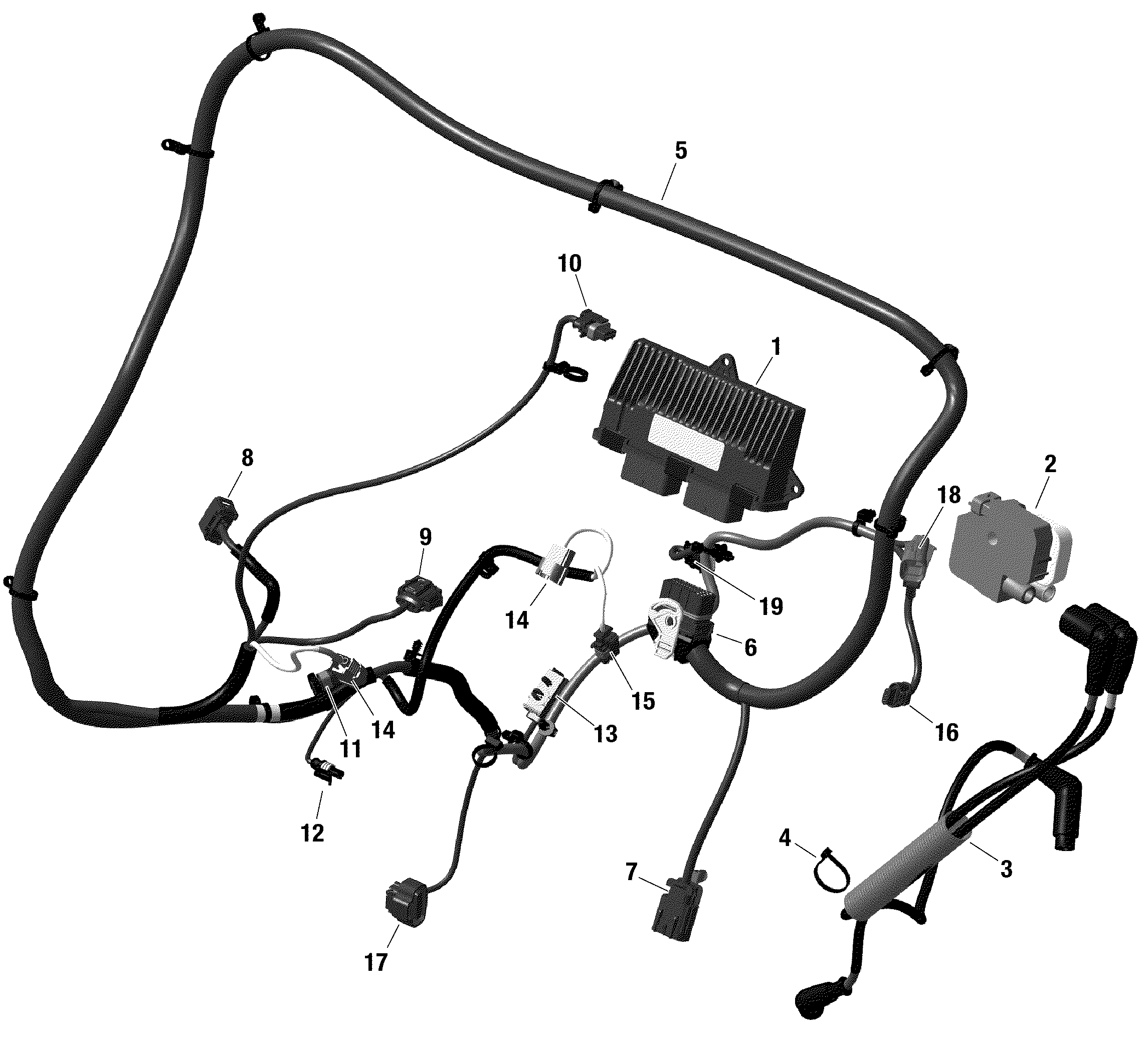 Rotax - Engine Harness And Electronic Module Maverick