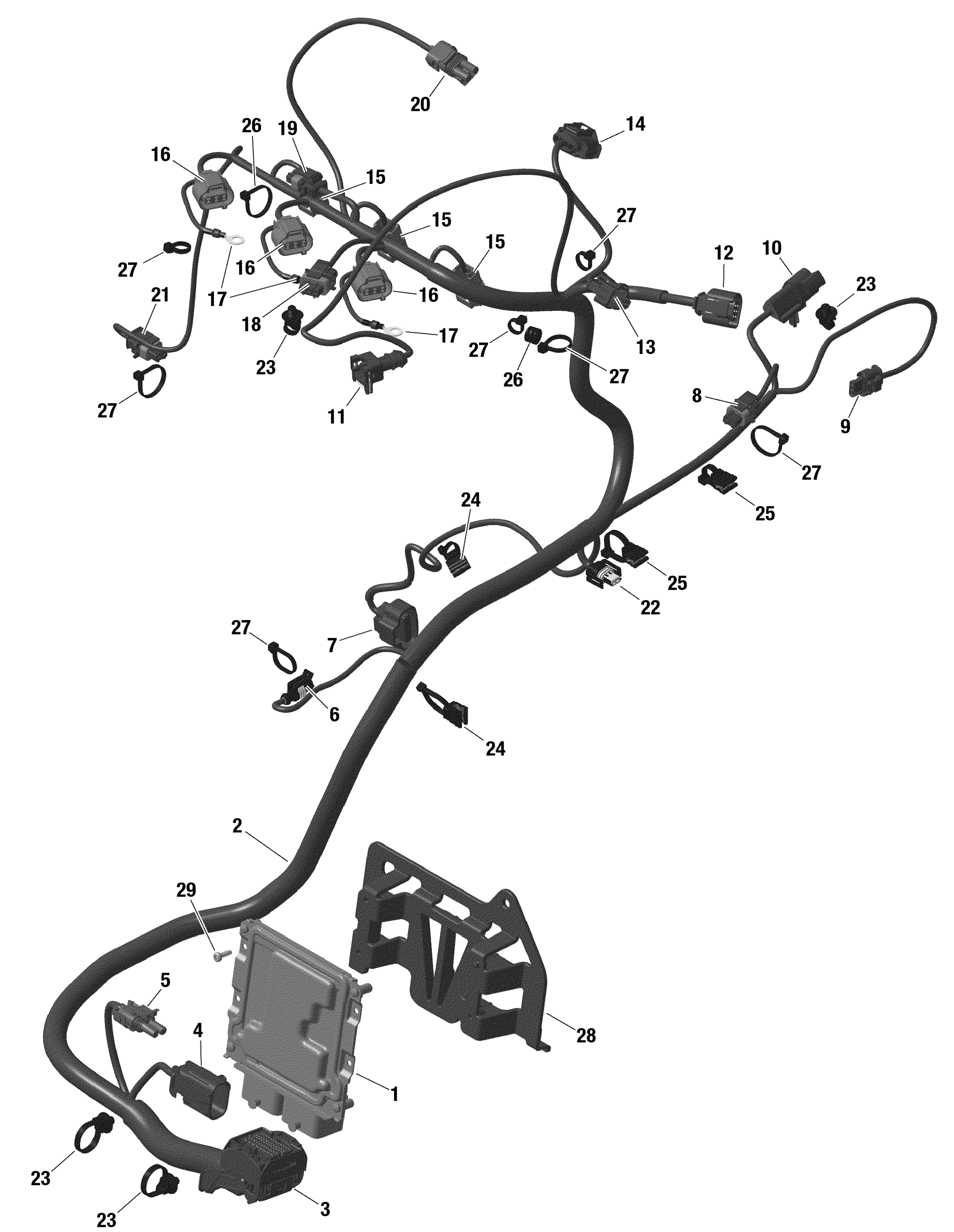 ROTAX - Engine Harness And Electronic Module - Turbo RR