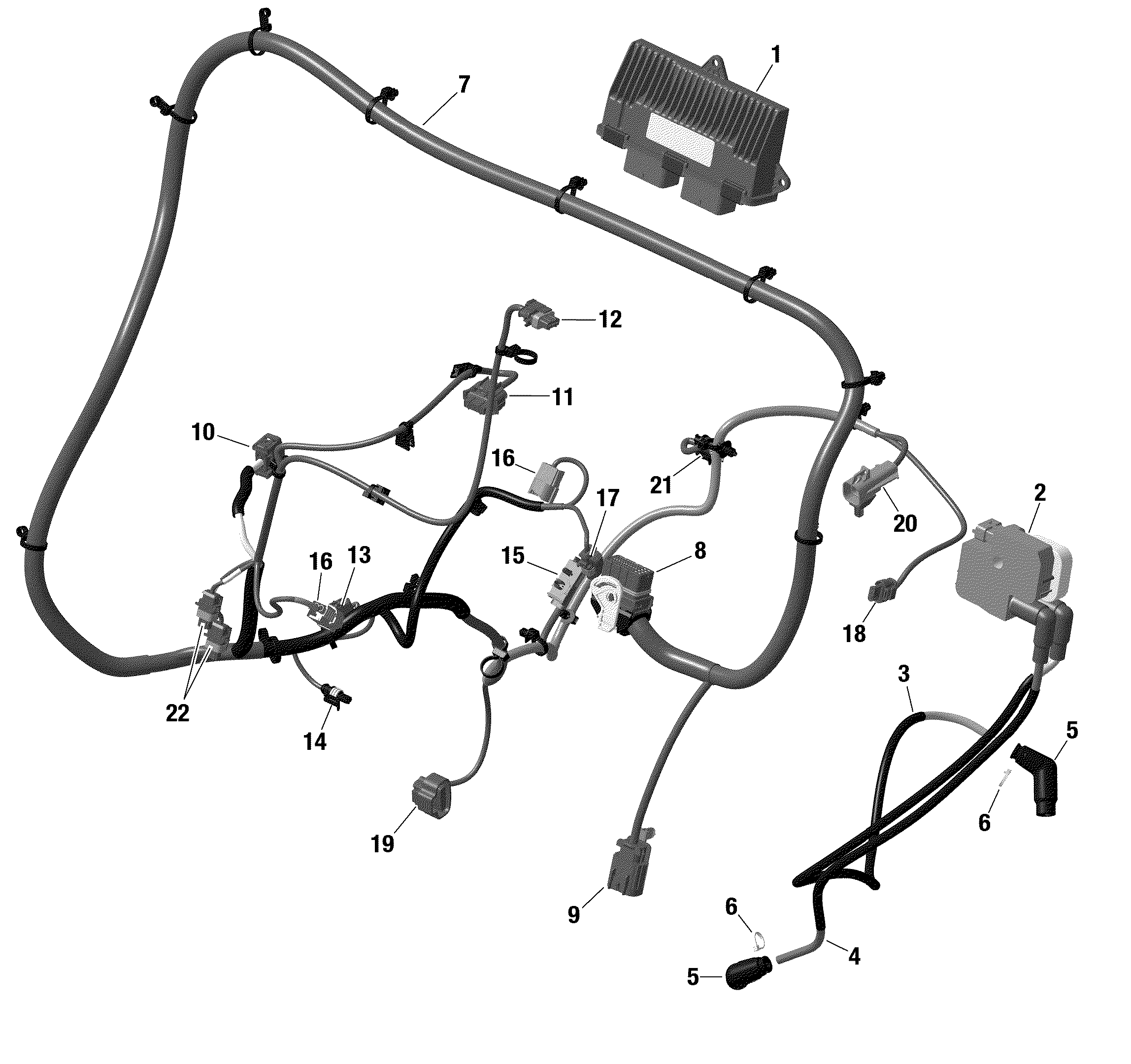 Engine Harness And Electronic Module