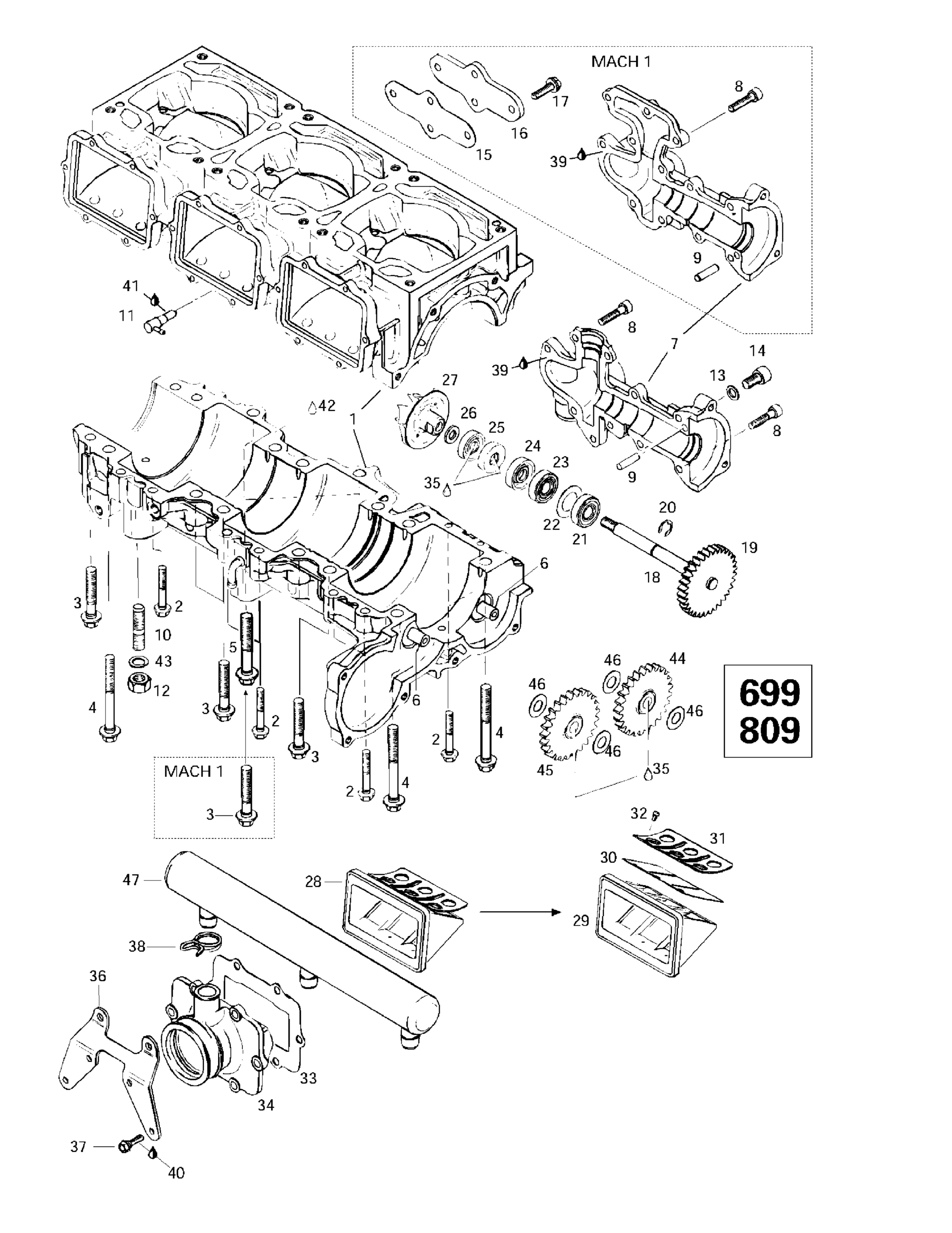 Схема узла: Crankcase, Reed Valve, Water Pump (699,809)