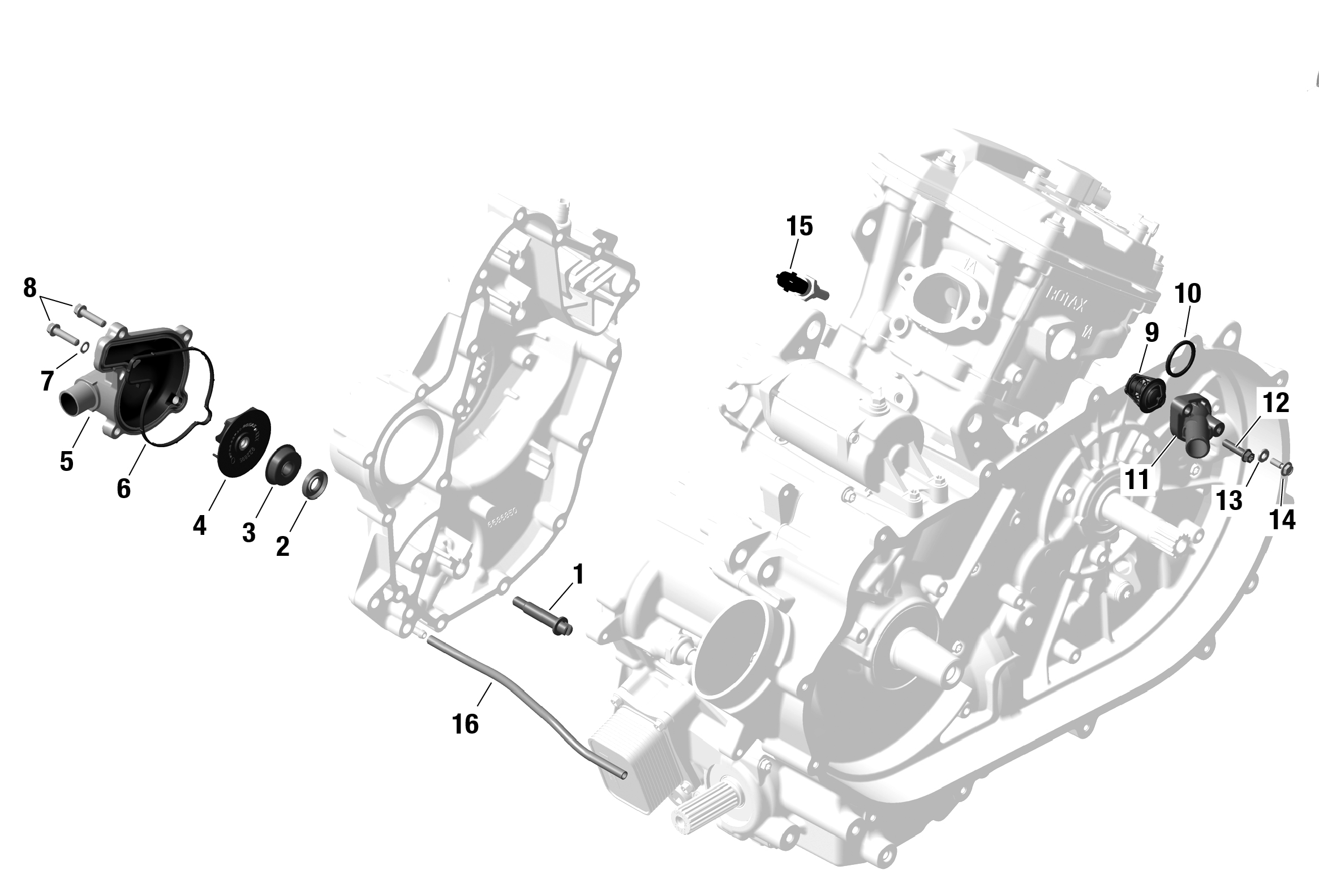 Схема узла: ROTAX - Engine Cooling