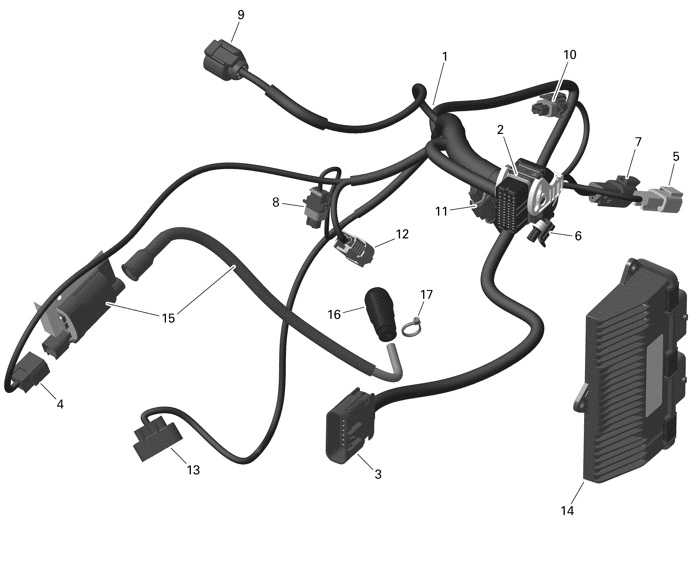 Rotax - Engine Harness And Electronic Module - 450