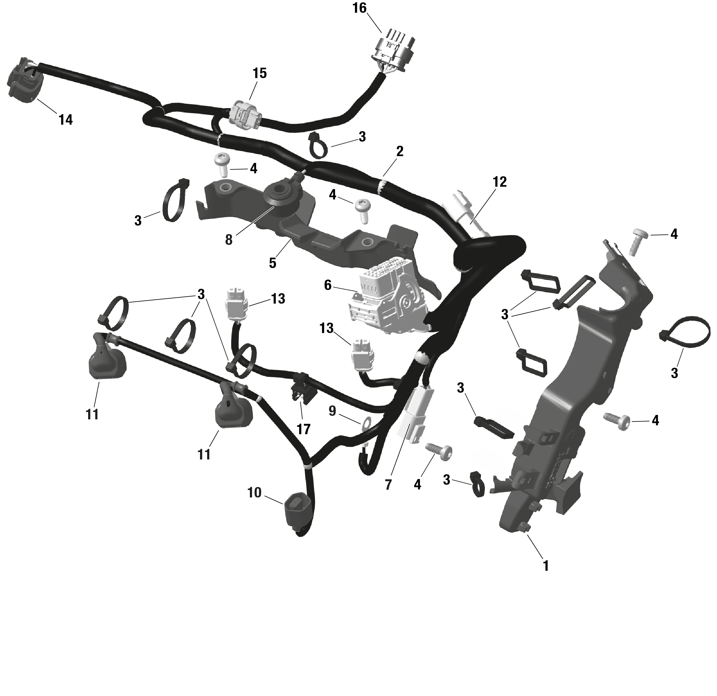 Схема узла: ROTAX - Engine Harness And Electronic Module