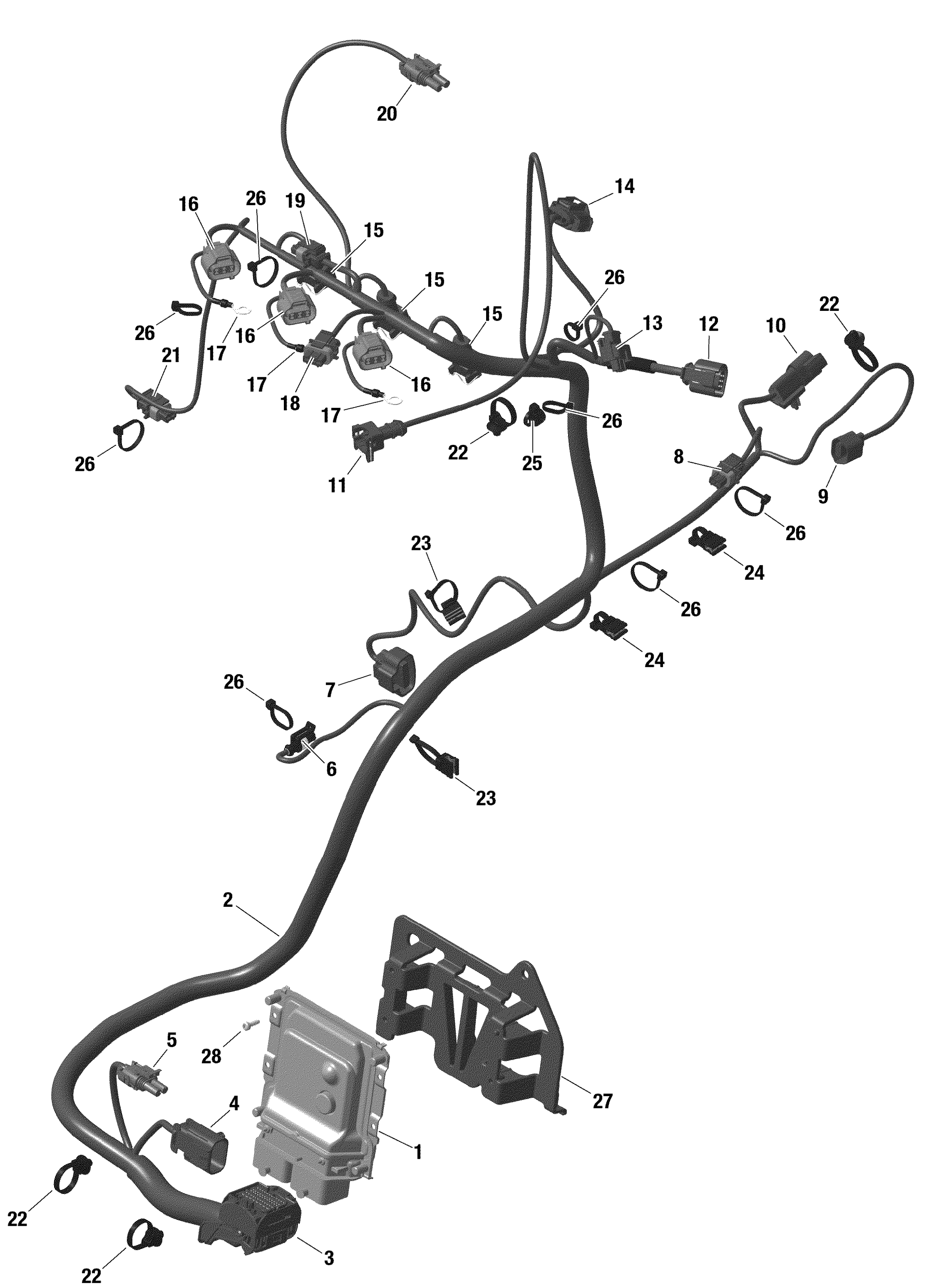 Rotax - Engine Harness And Electronic Module - Turbo RR