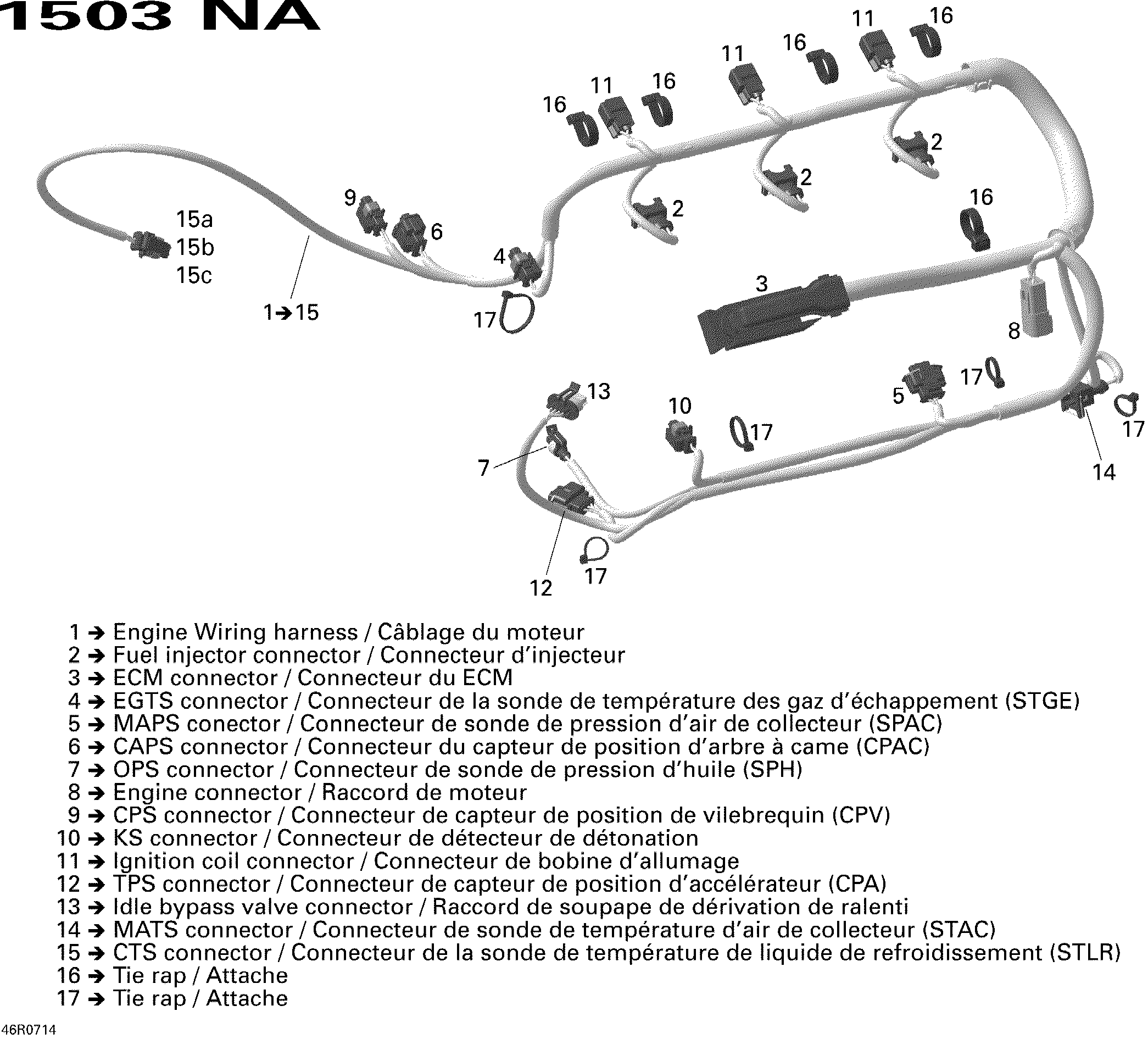 Engine Harness