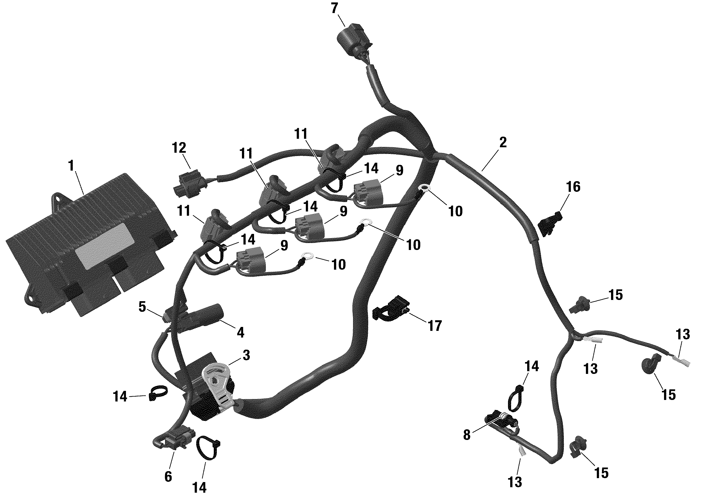 Rotax - Engine Harness / Electronic Module - 900 ACE