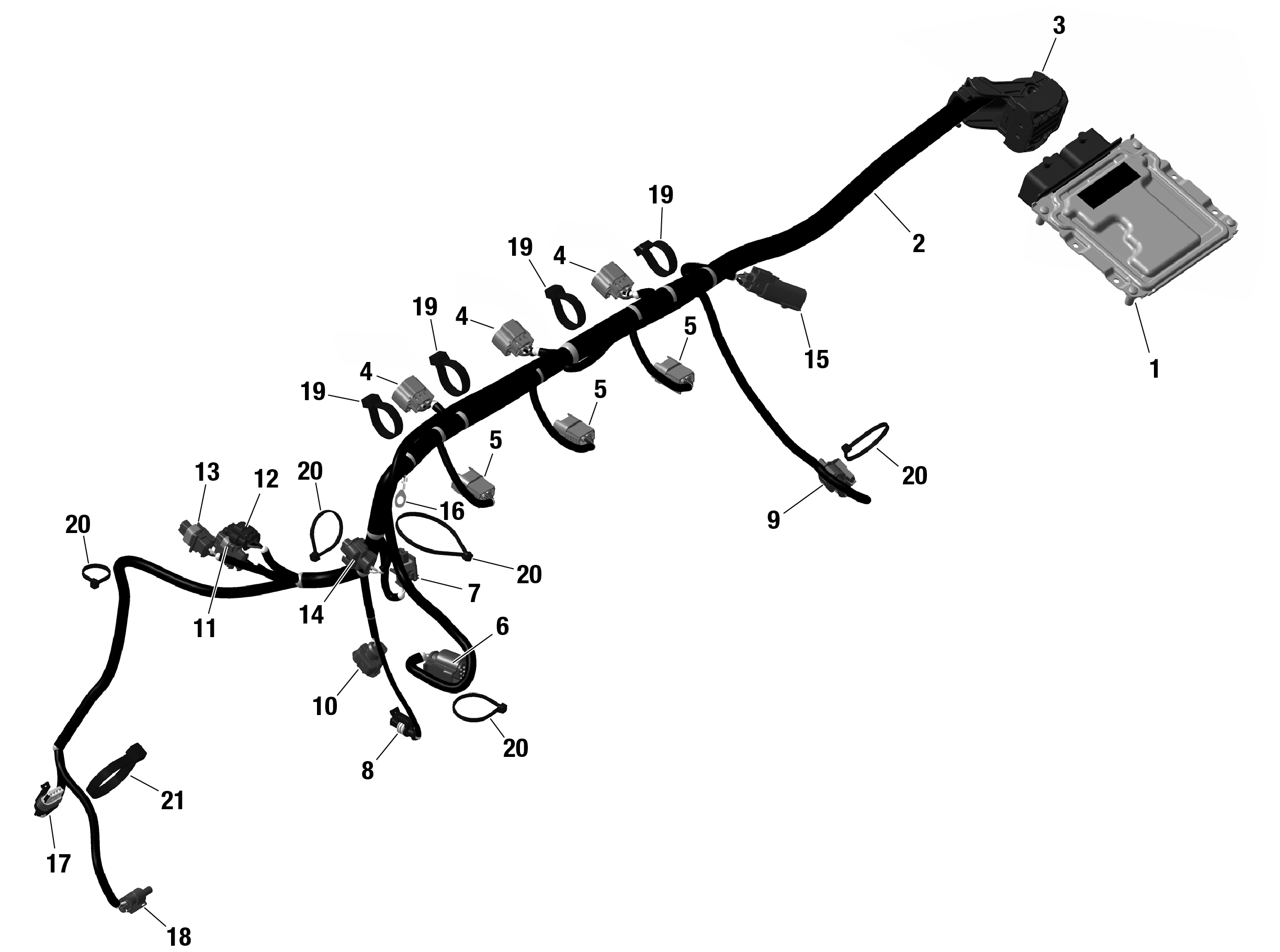 Схема узла: ROTAX - Engine Harness And Electronic Module