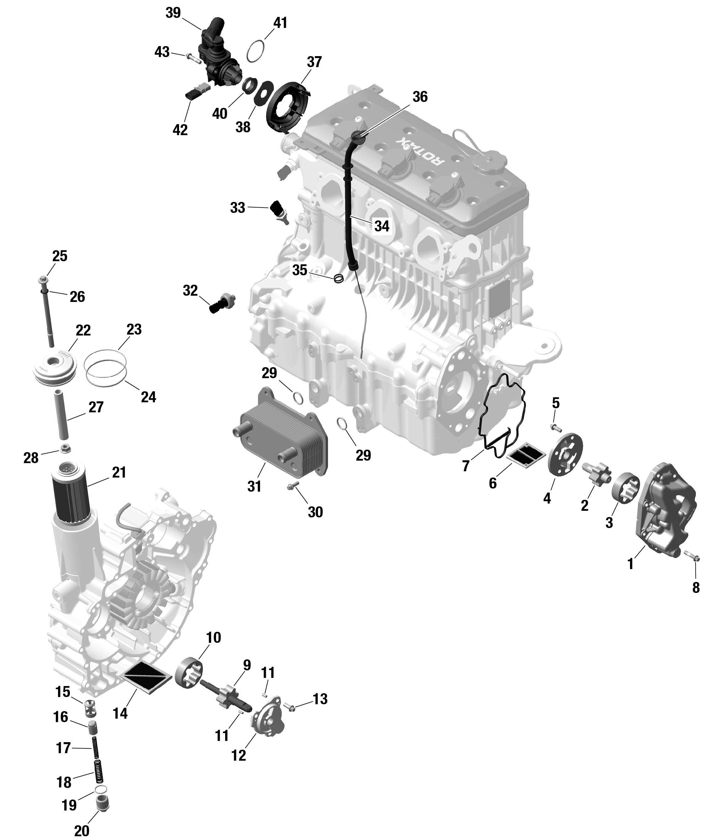 Схема узла: ROTAX - Engine Lubrication