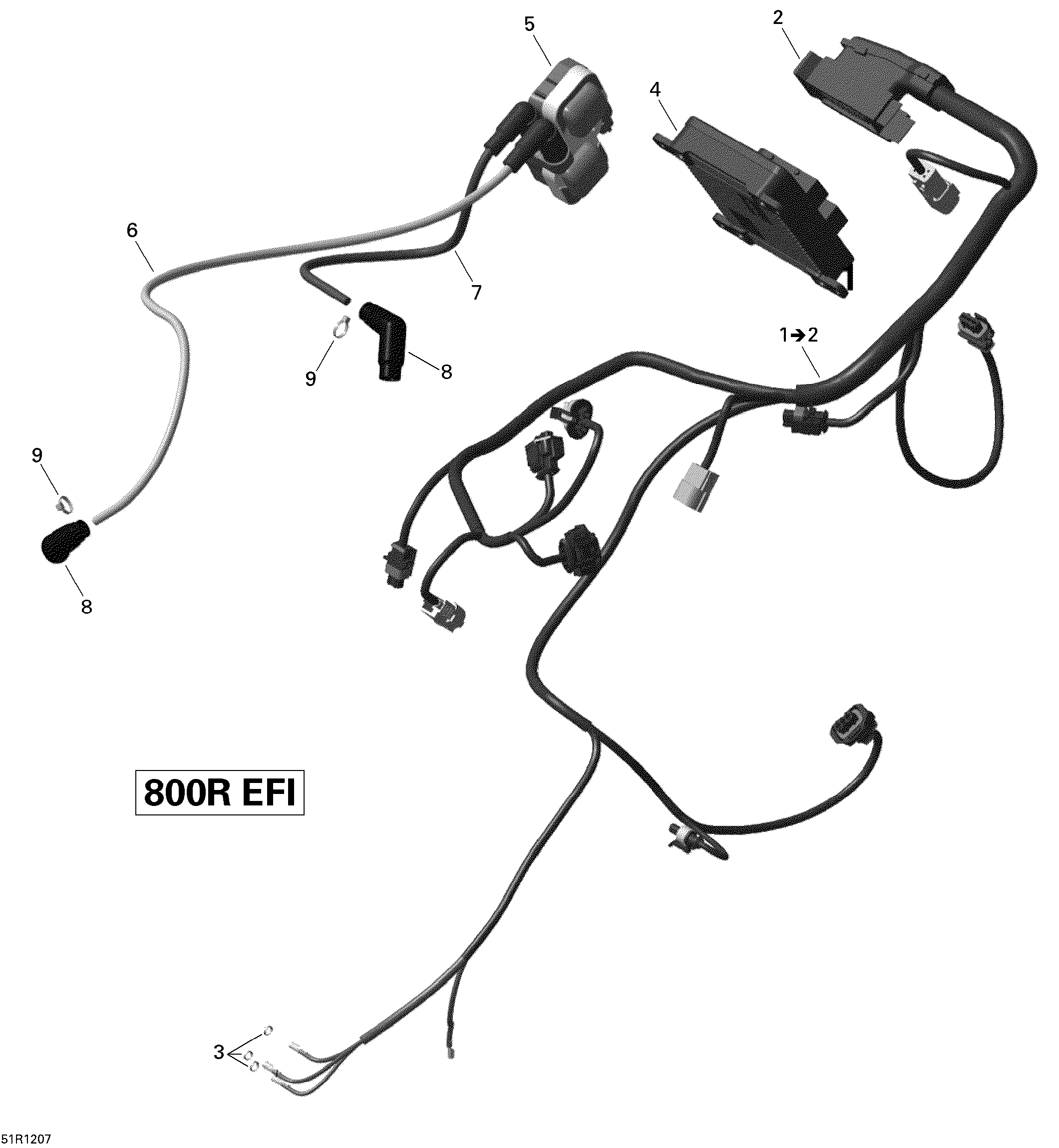 Engine Harness And Electronic Module V1